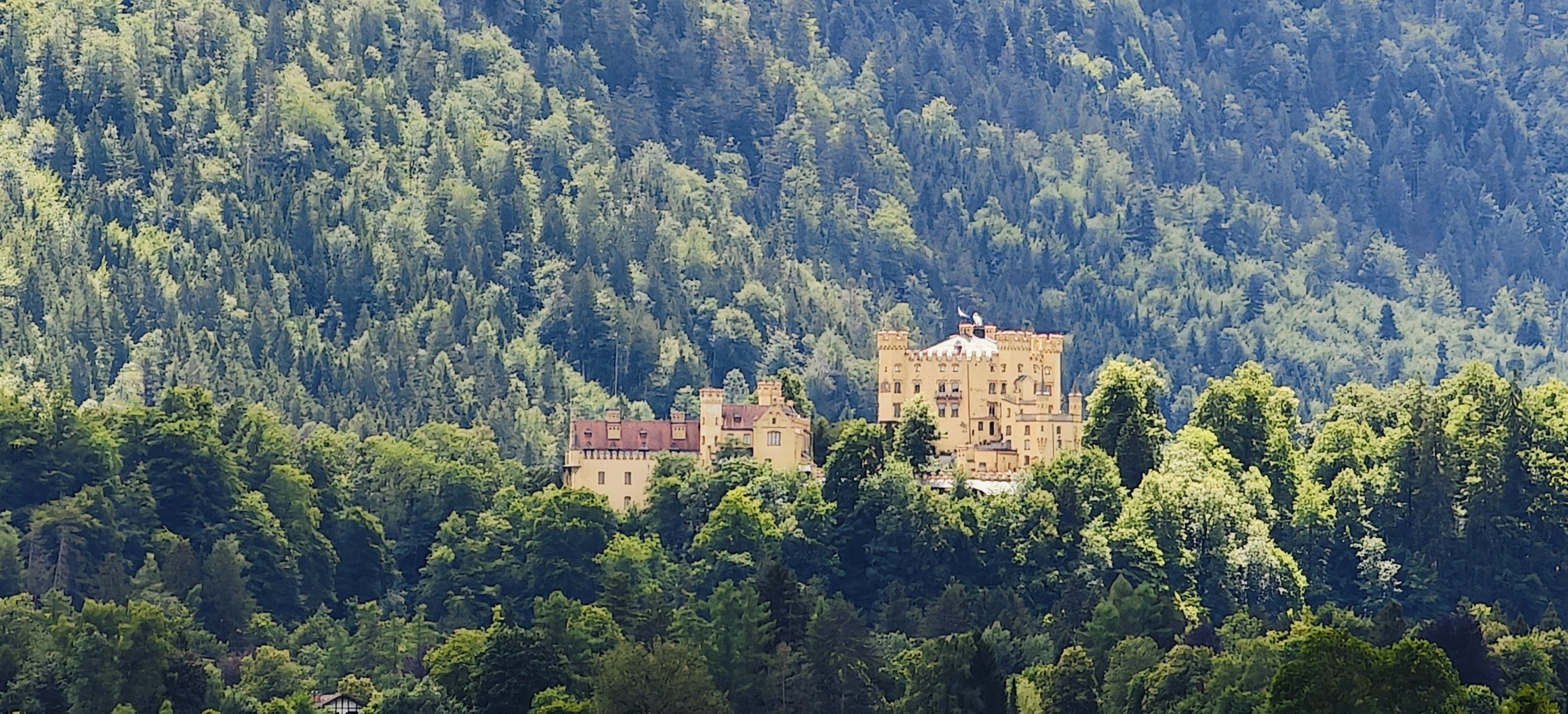 IMG20250707140049.jpg