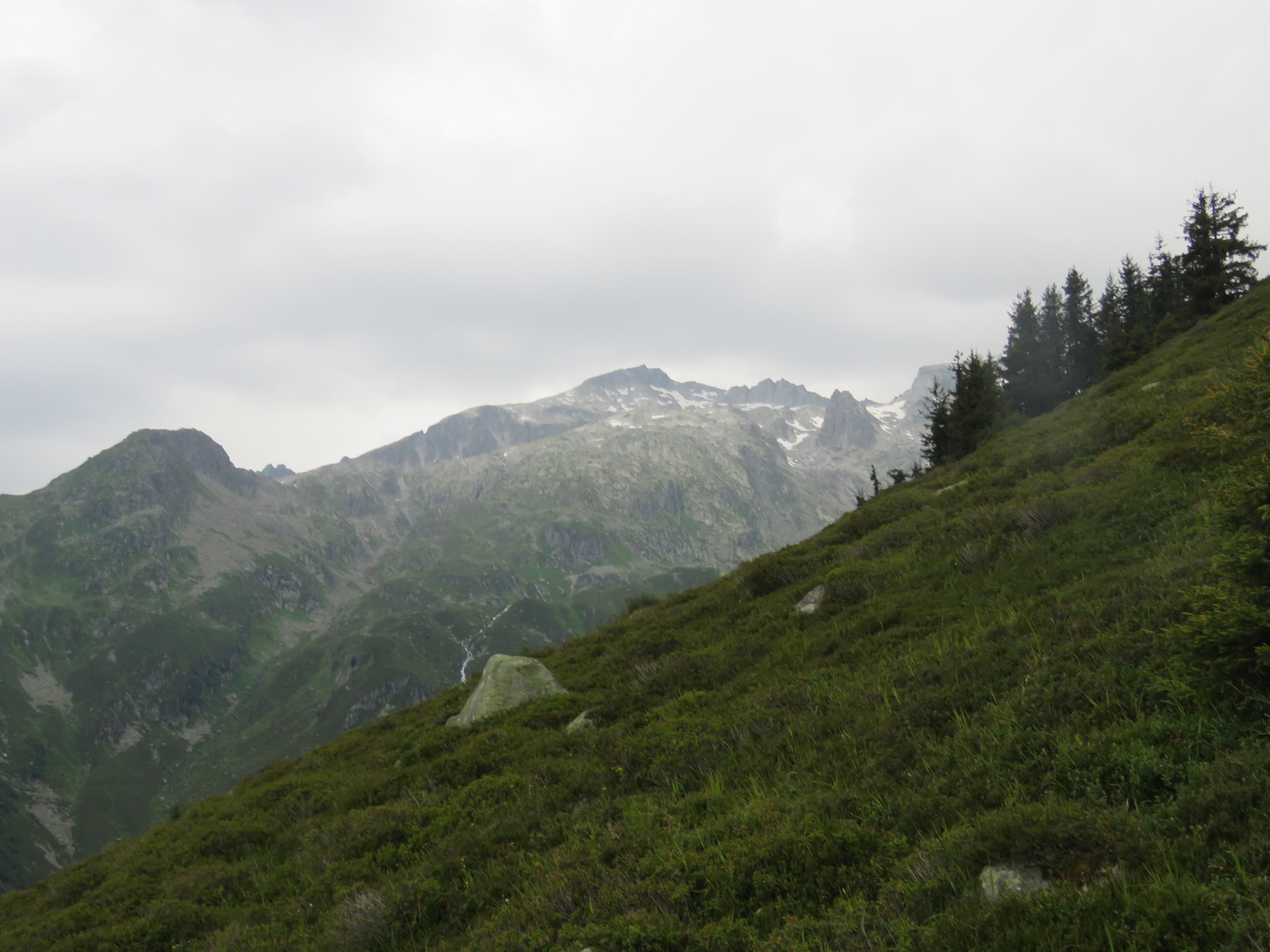 IMG_0003.jpg