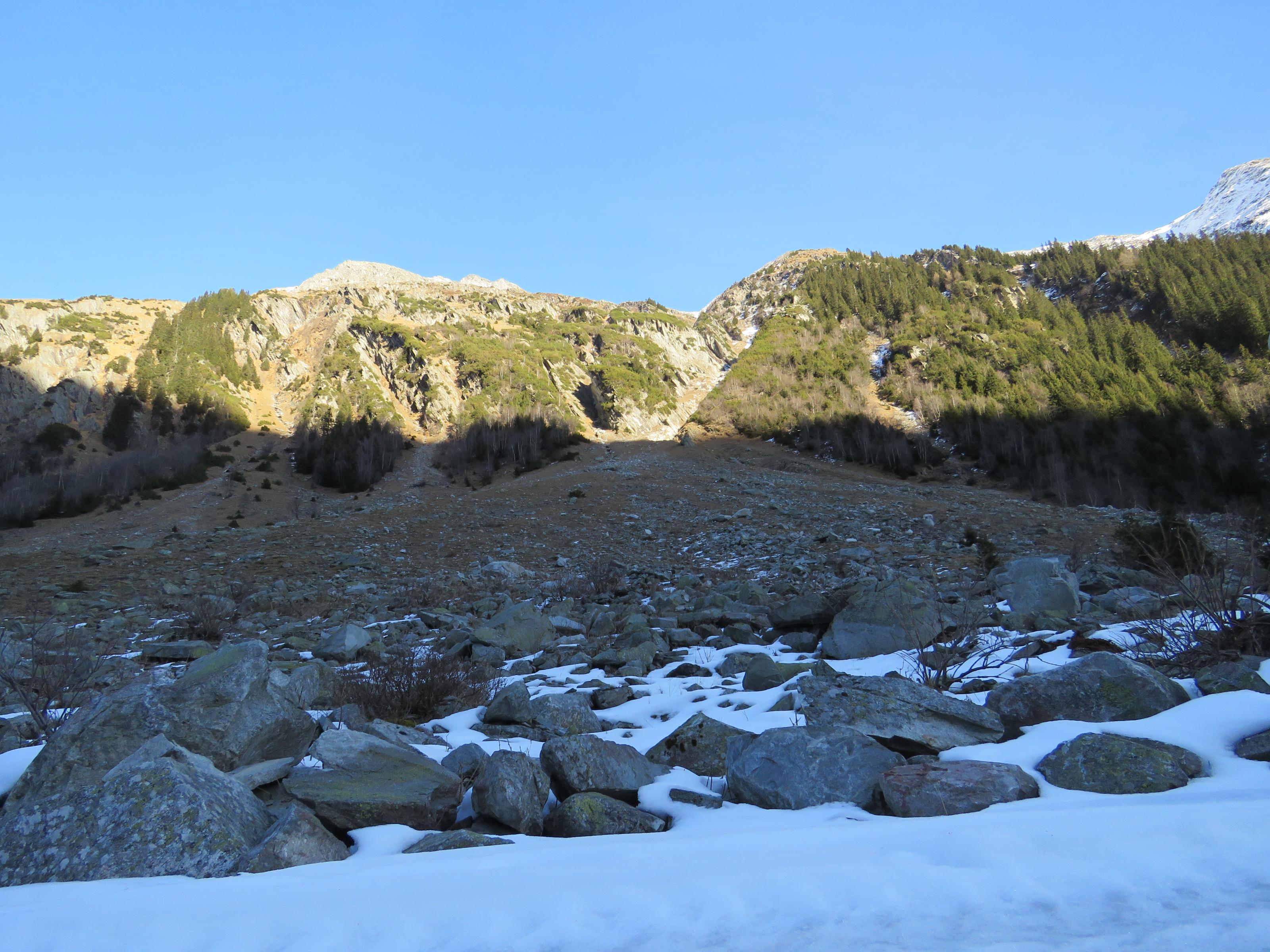 IMG_0003.jpg