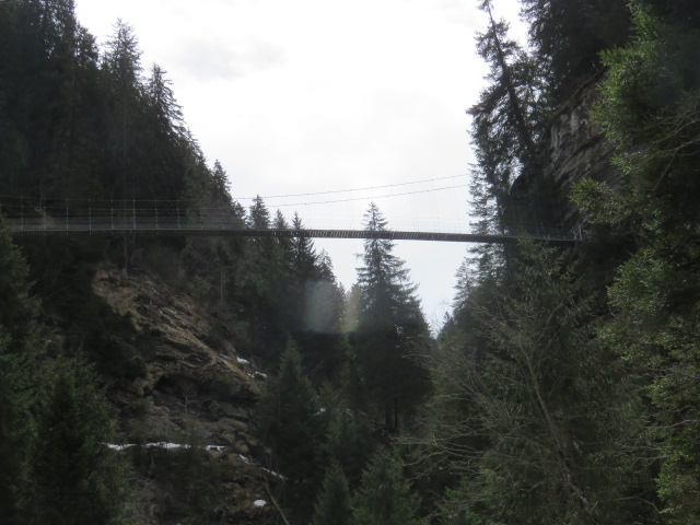 IMG_0005.JPG