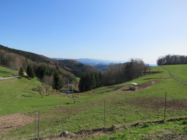 IMG_0010.JPG