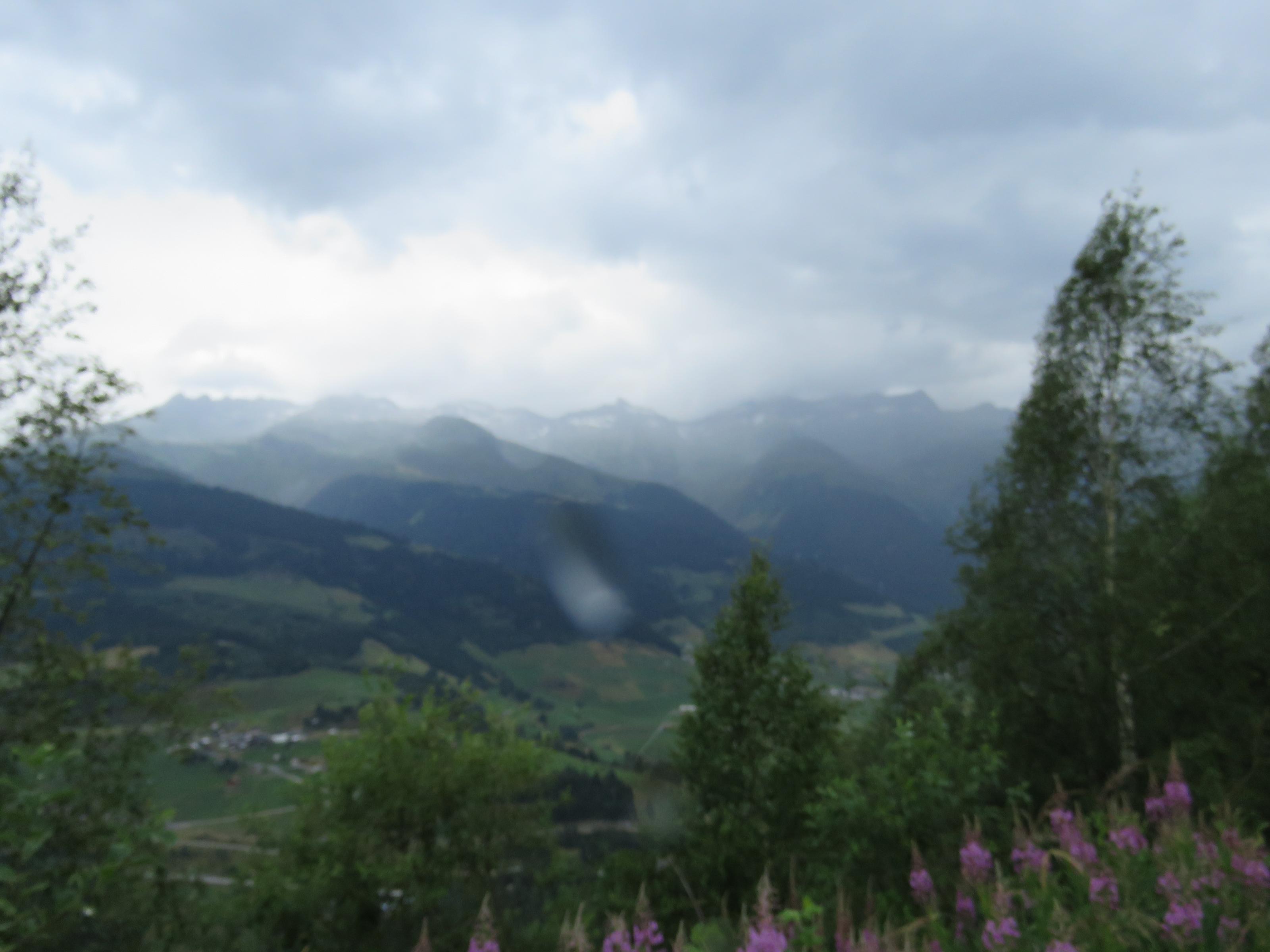 IMG_0014.jpg