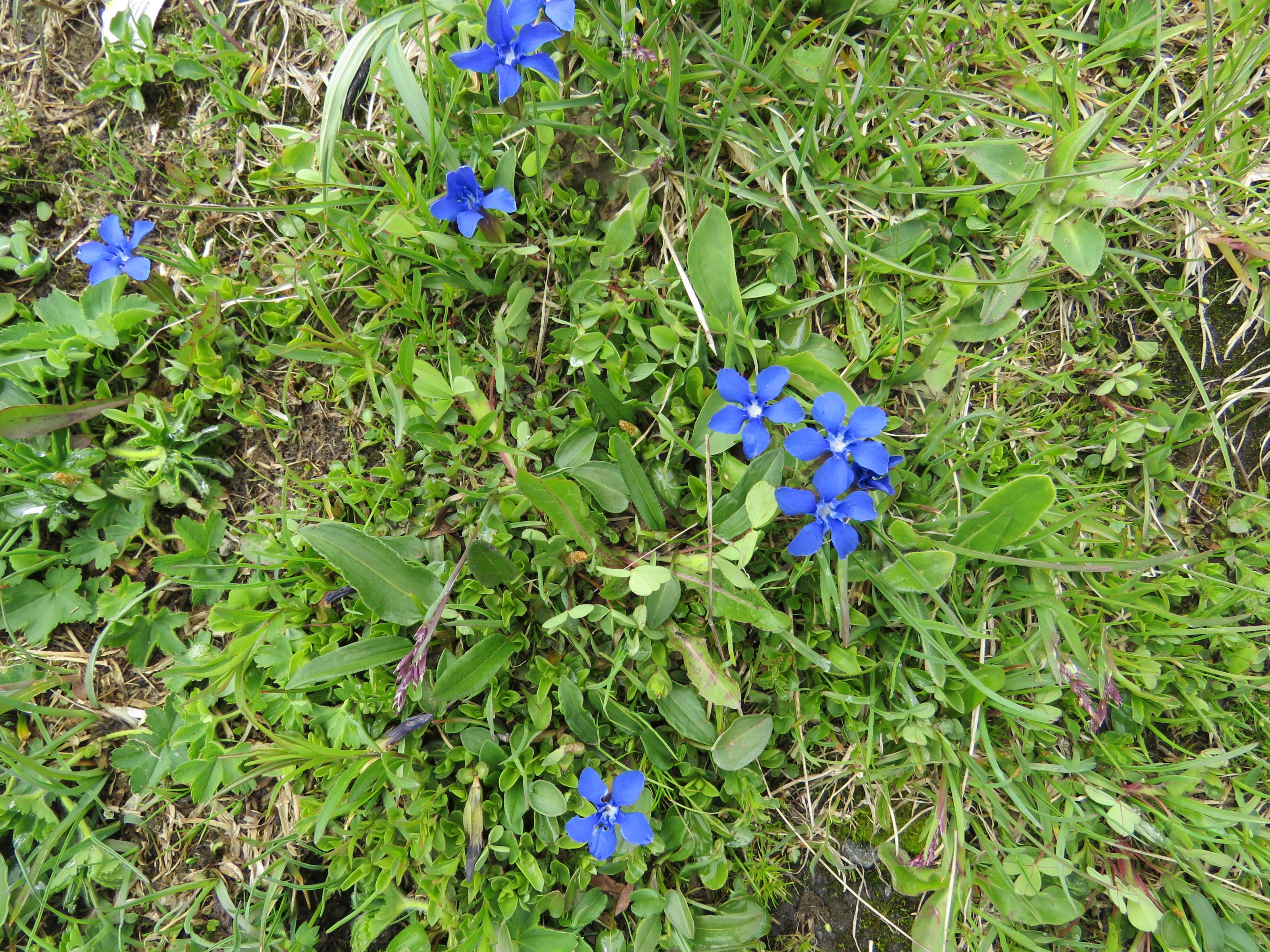 IMG_0017.jpg