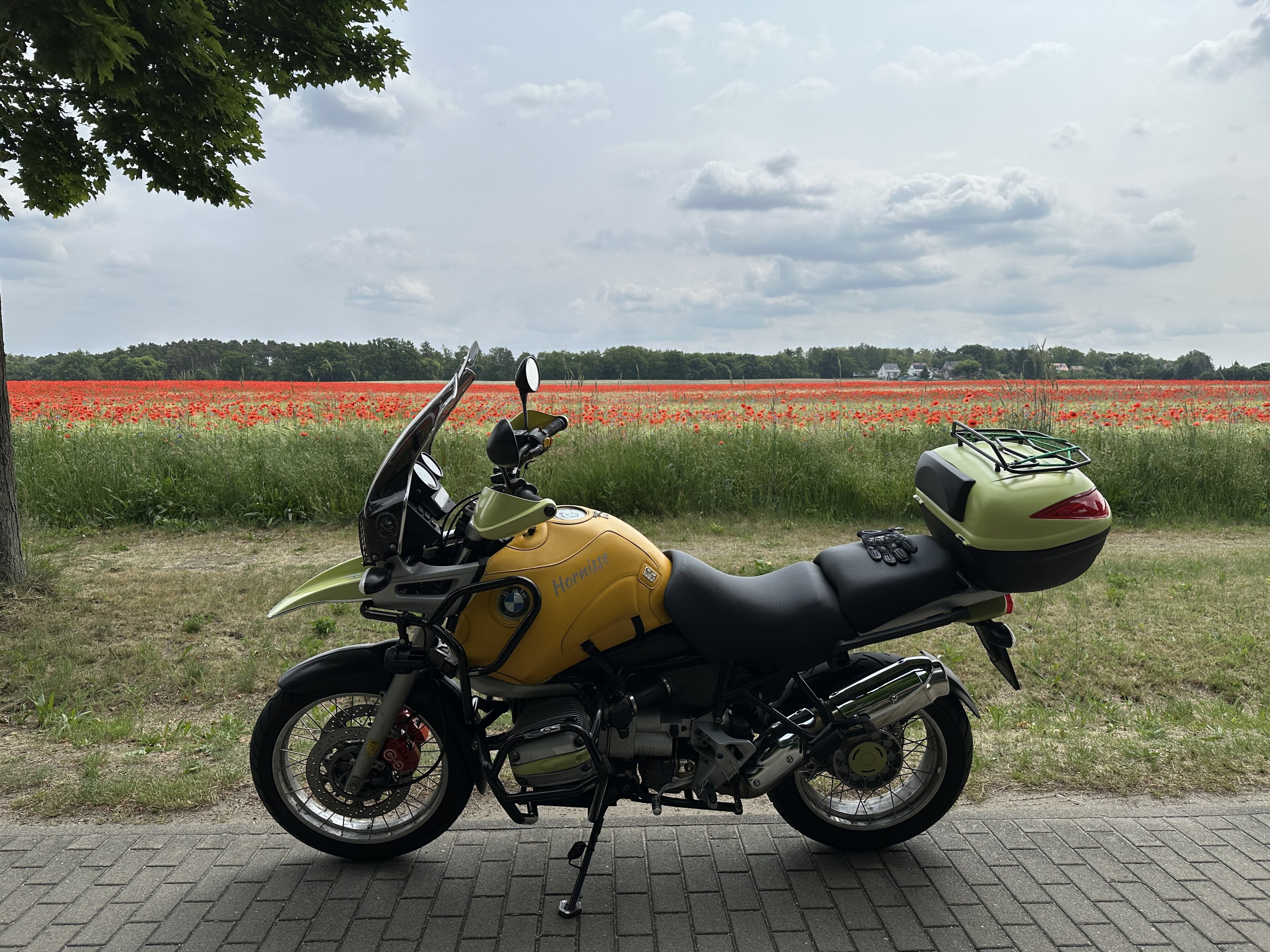 IMG_0080.jpeg