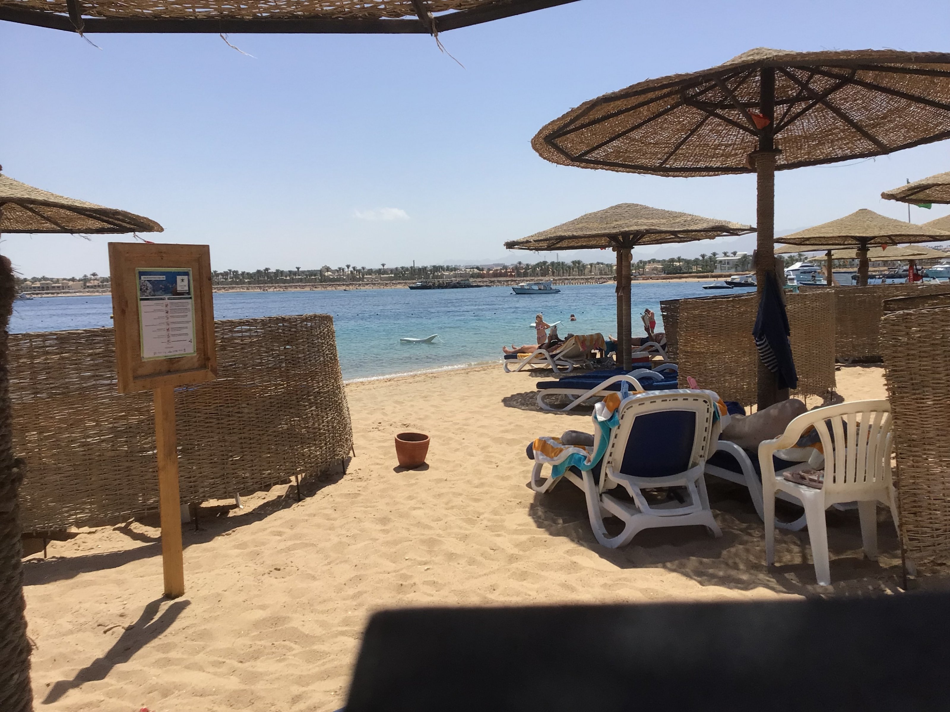 IMG_0087.jpeg