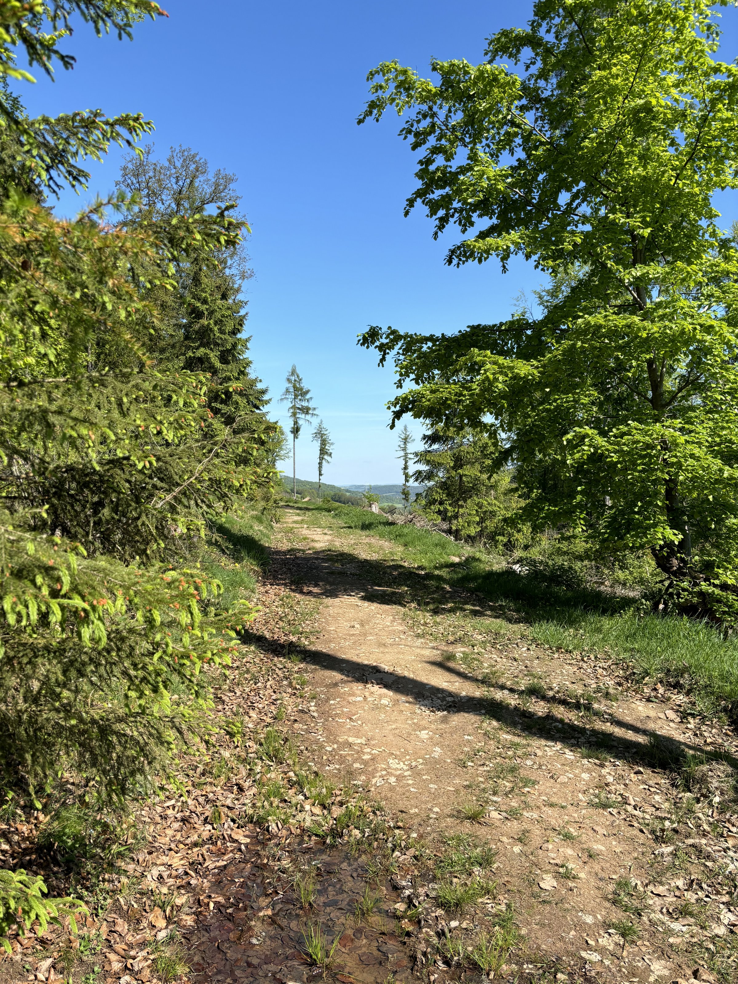 IMG_0117.jpeg