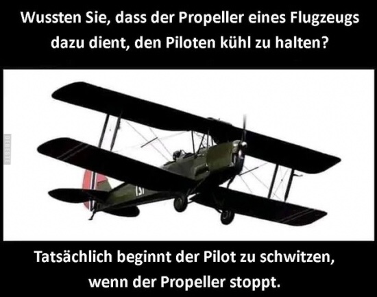 IMG_0119.jpeg