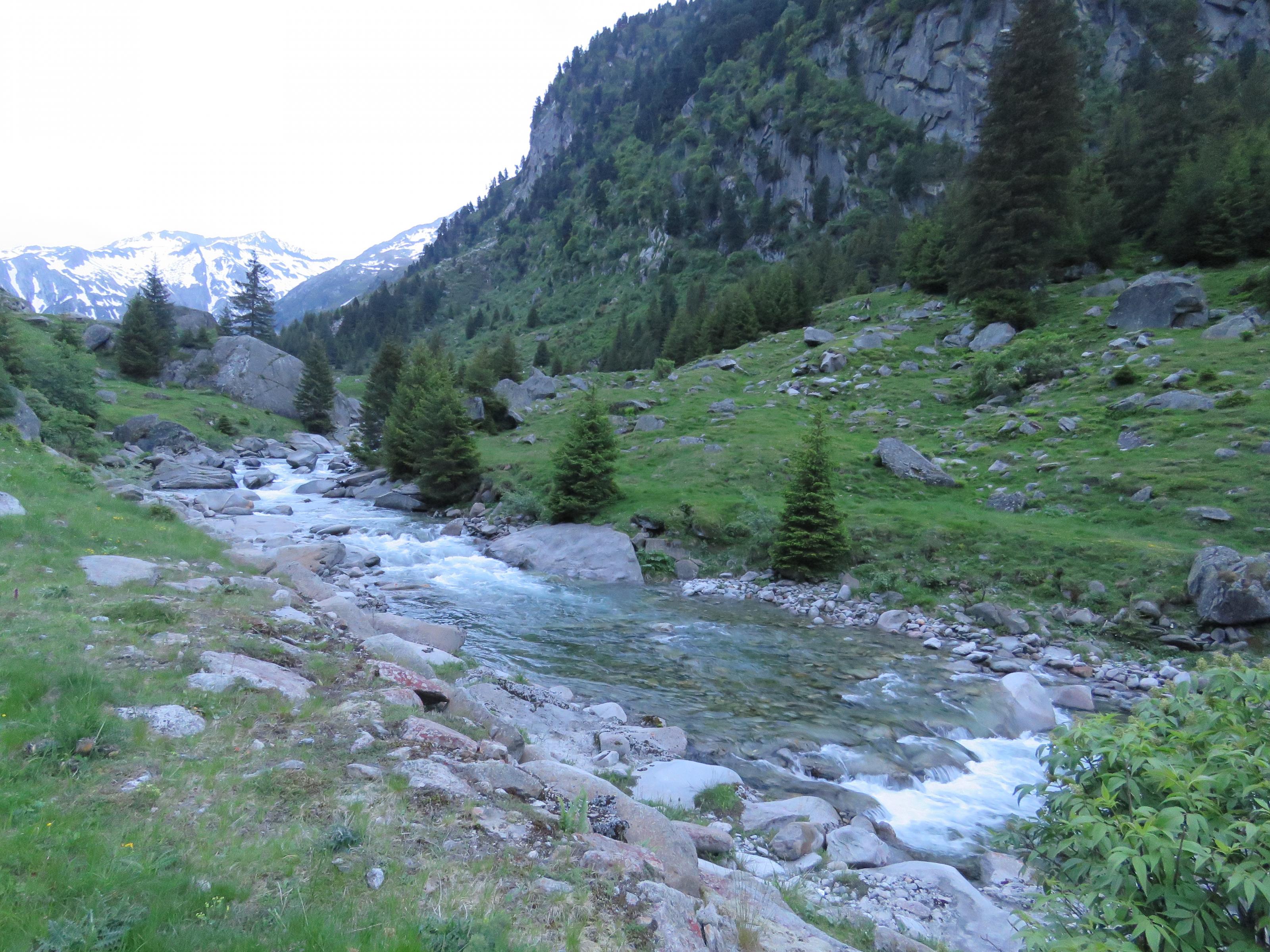 IMG_0290.jpg