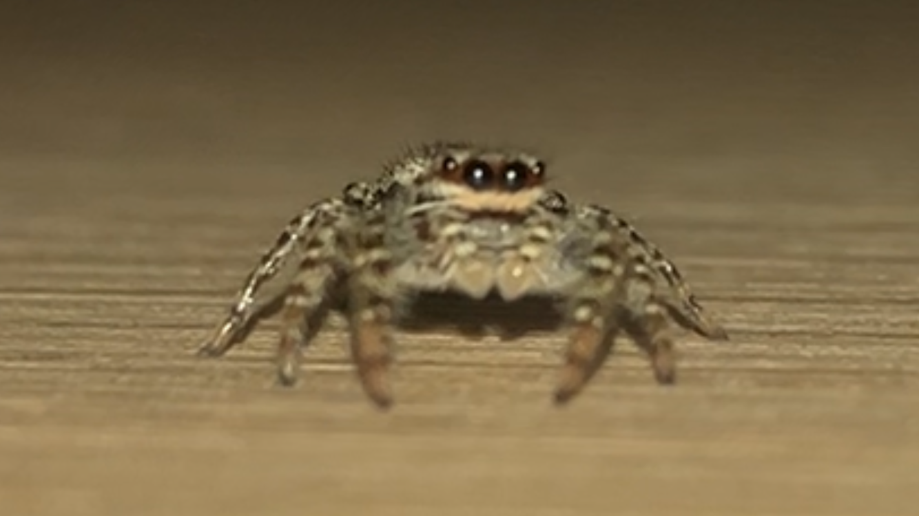 IMG_0323.png