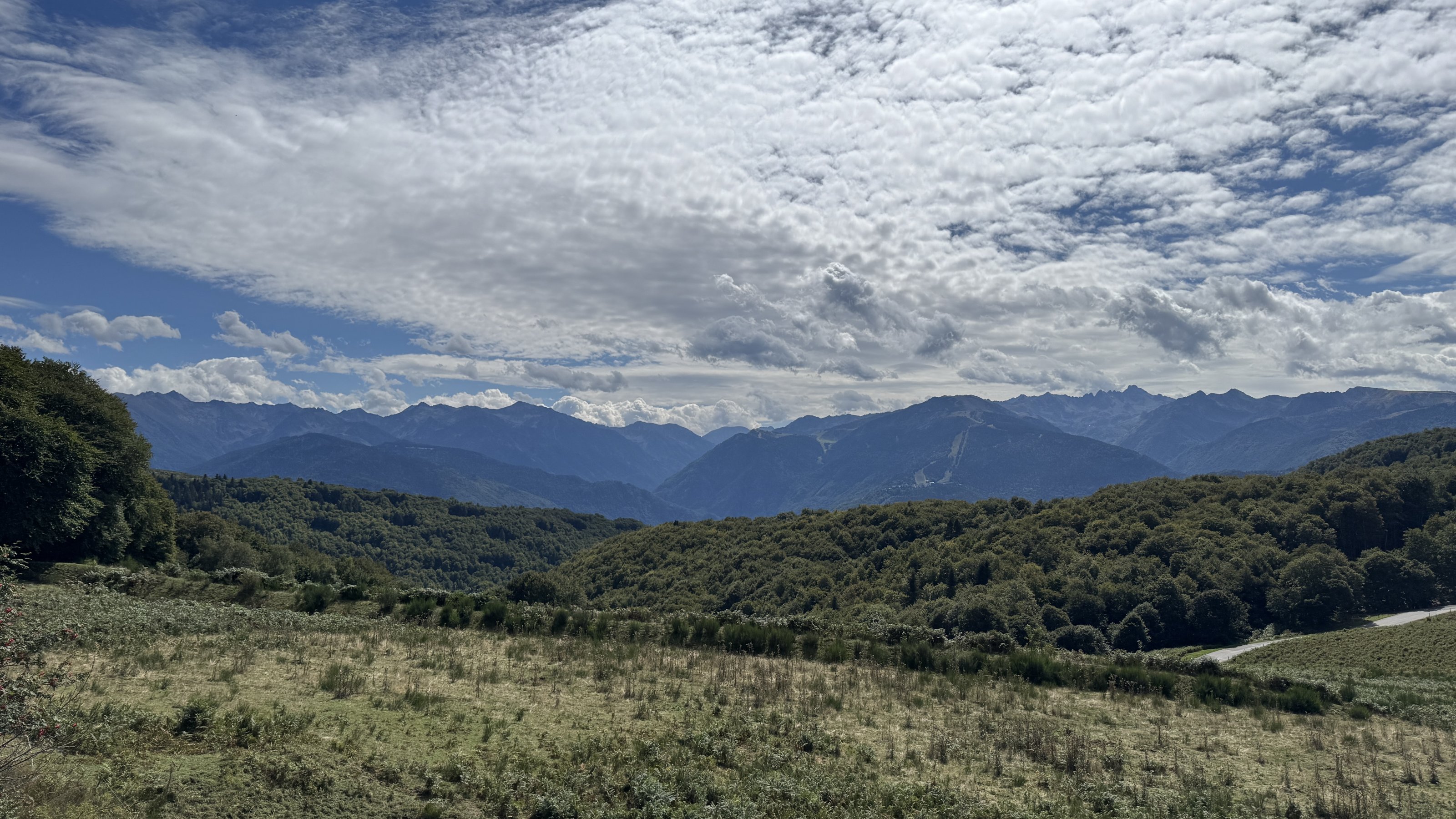 IMG_0454.jpeg
