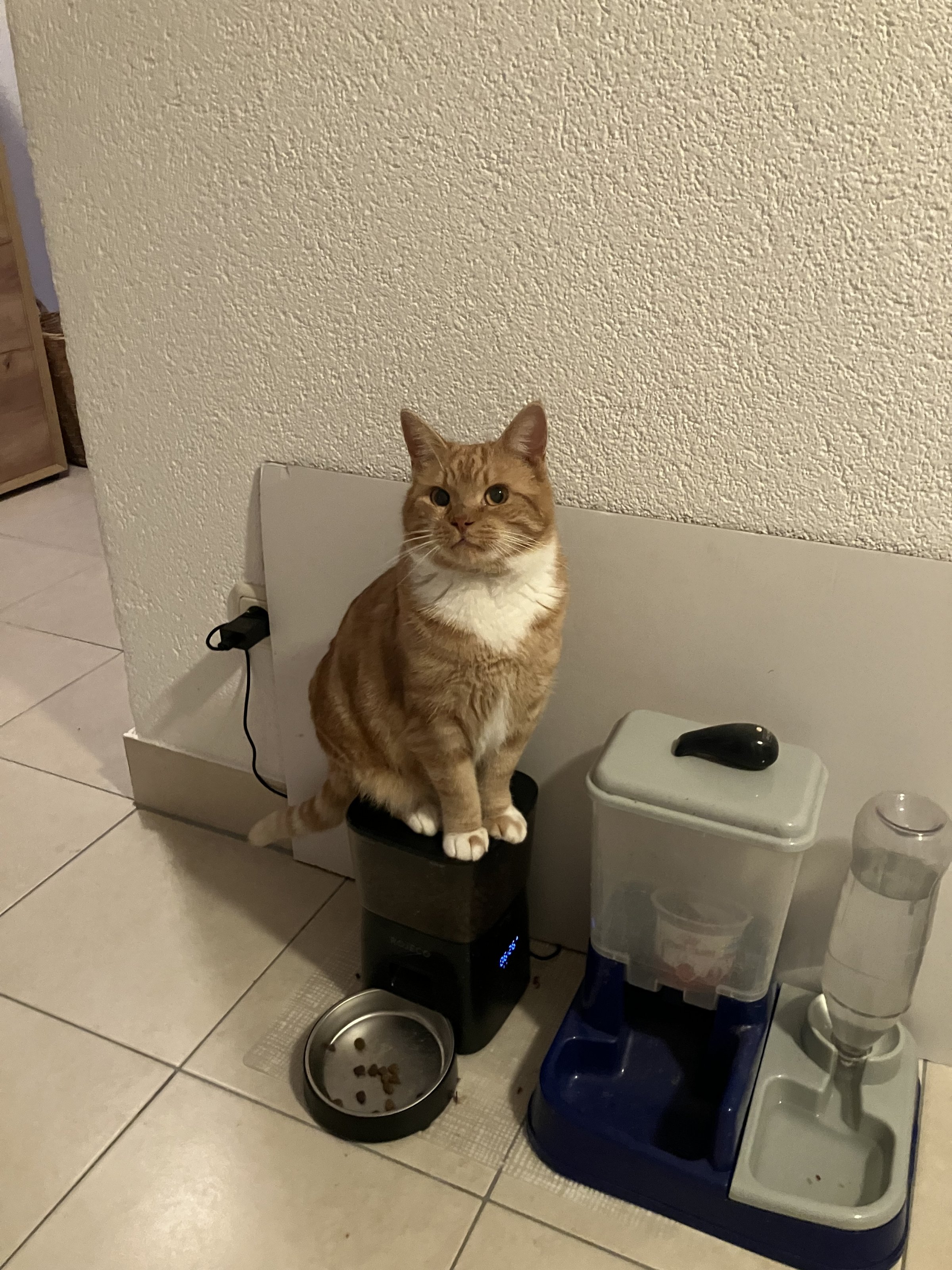 IMG_0519.jpeg