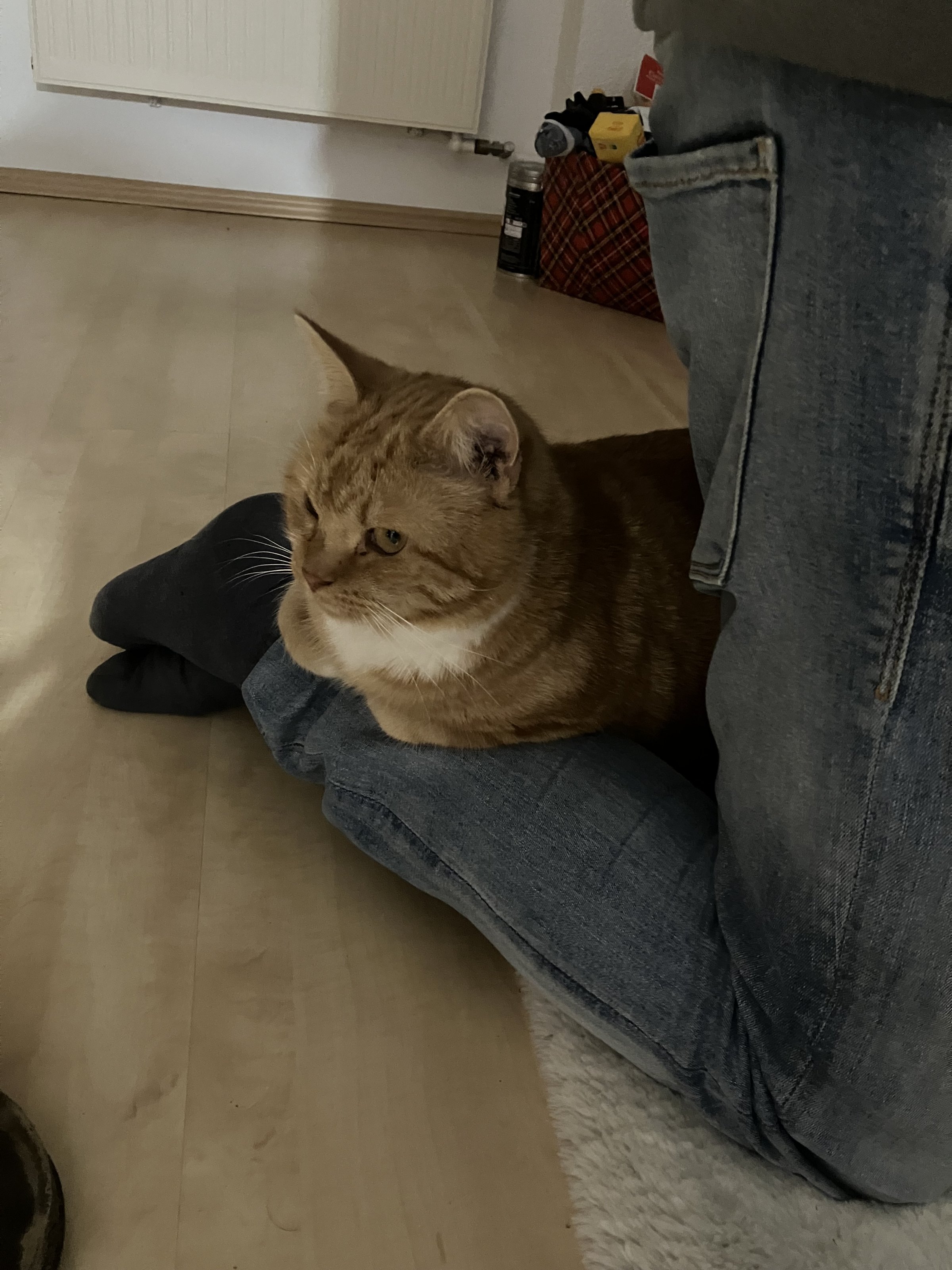 IMG_0560.jpeg