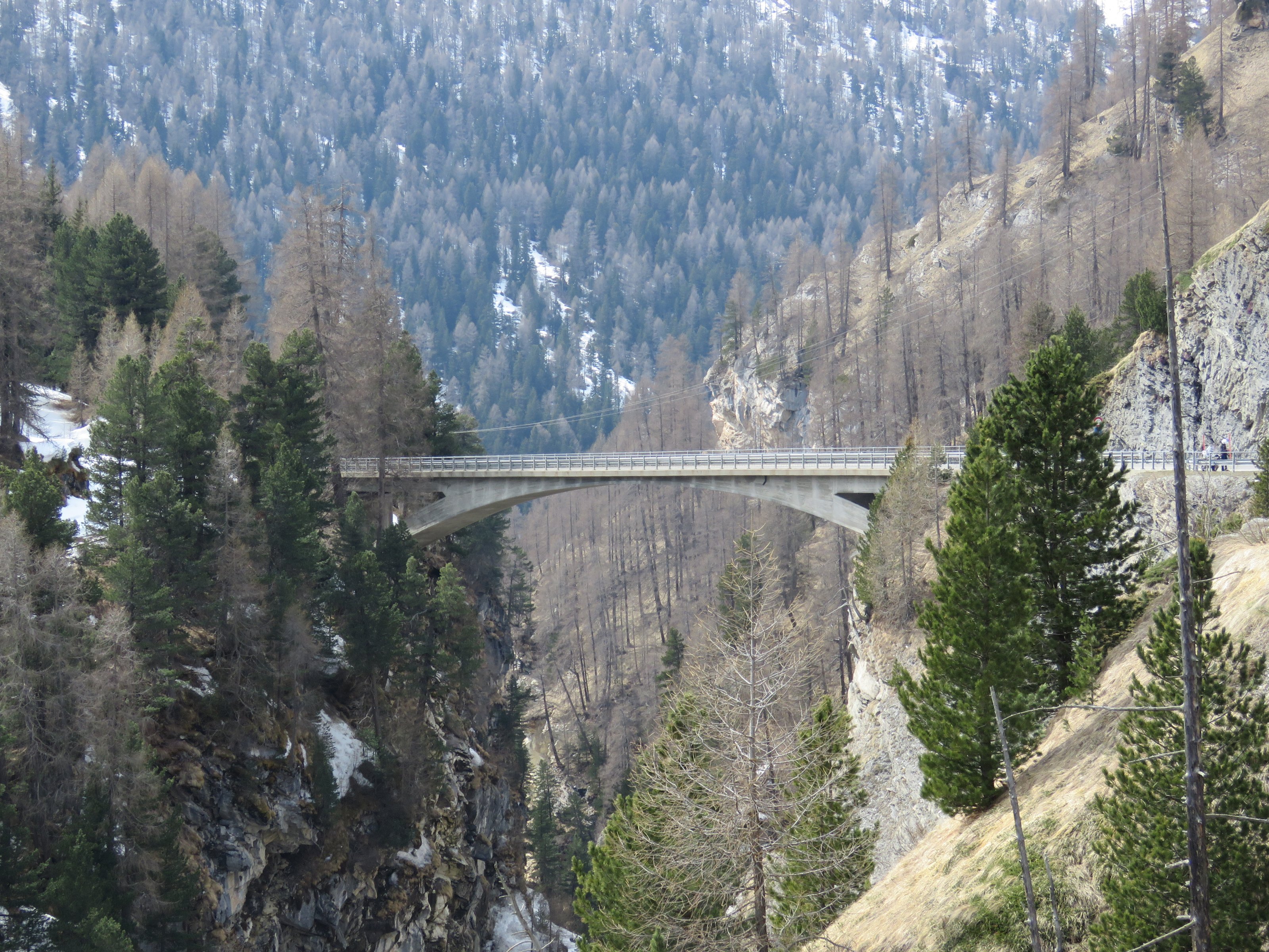 IMG_0614.JPG