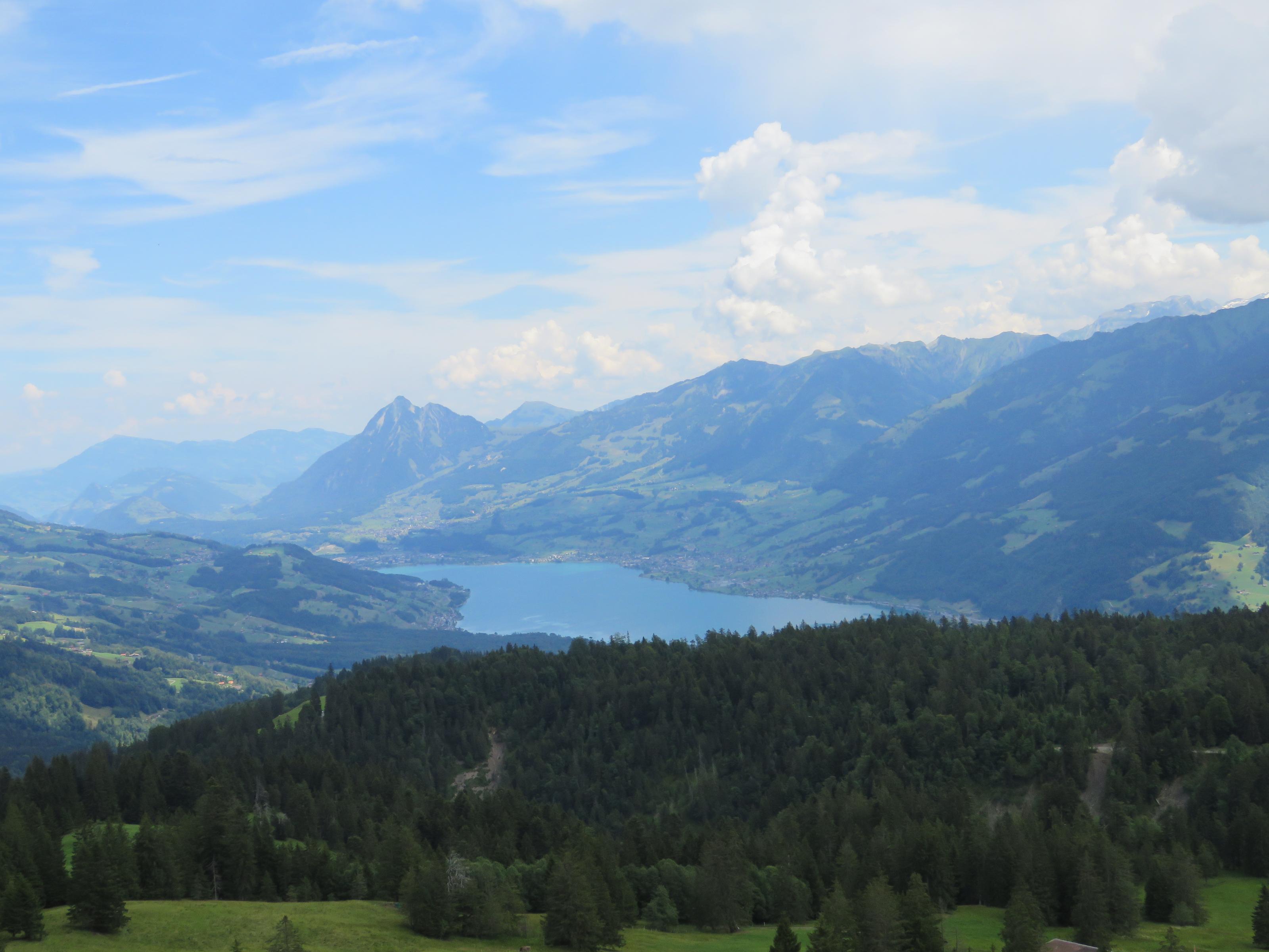 IMG_0790.jpg