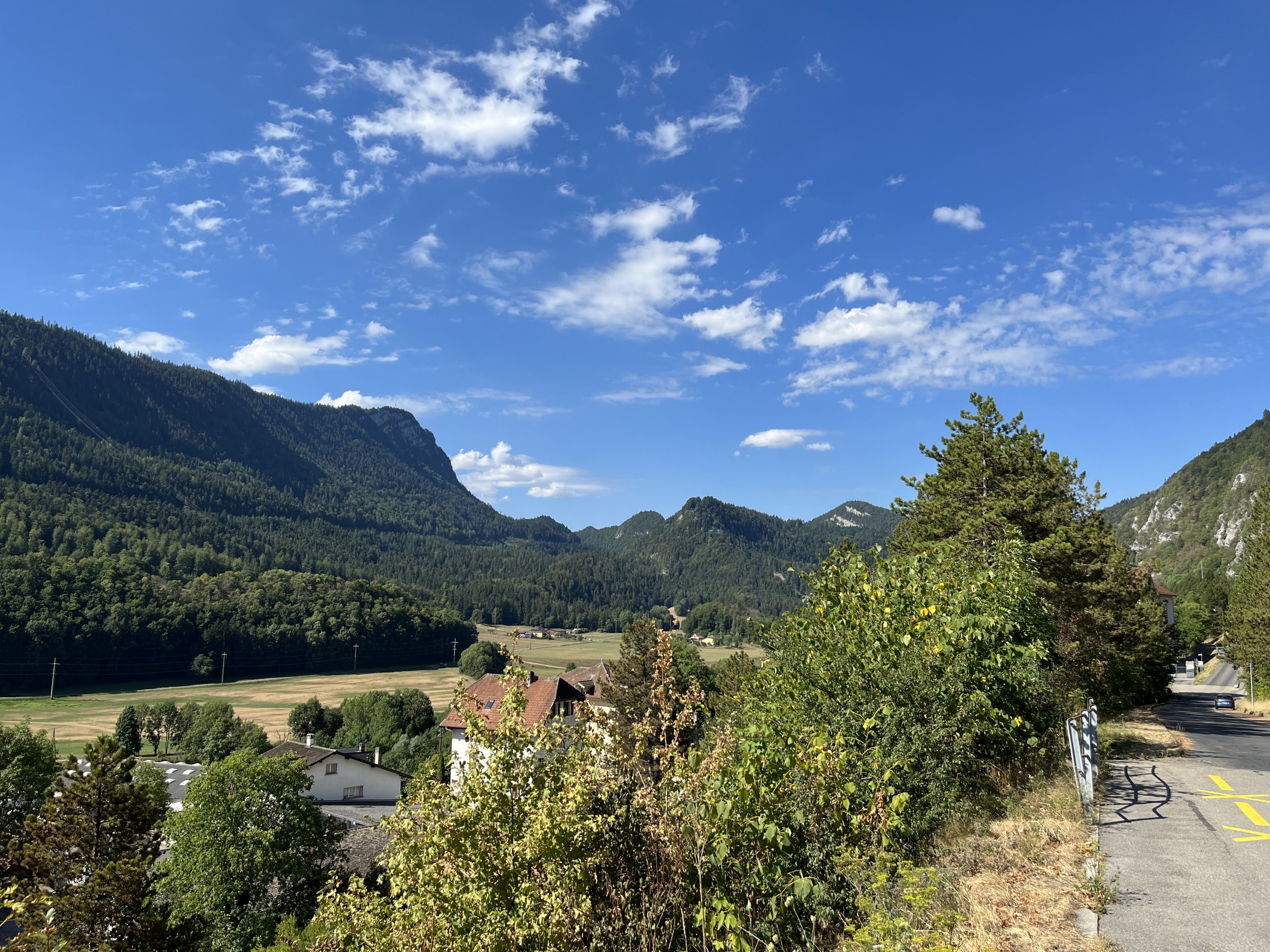 IMG_0817.jpeg