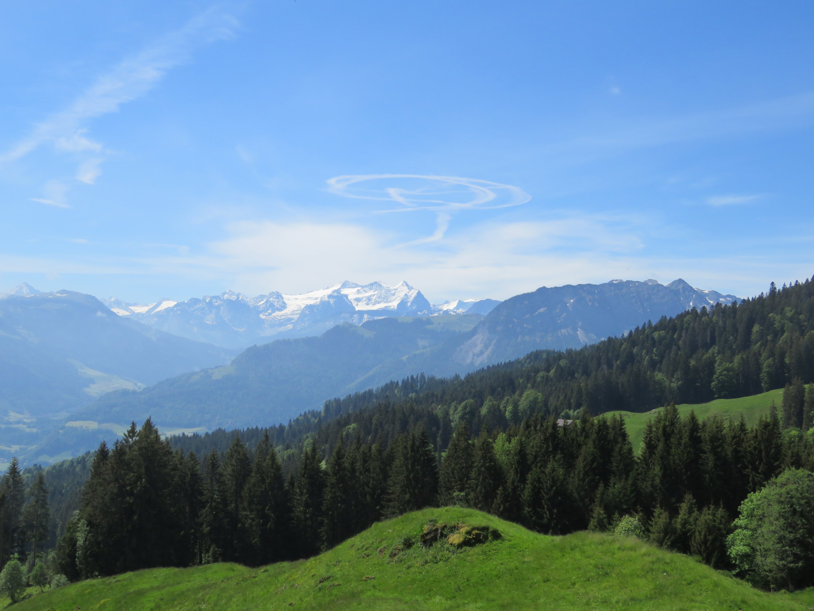 IMG_0848.JPG