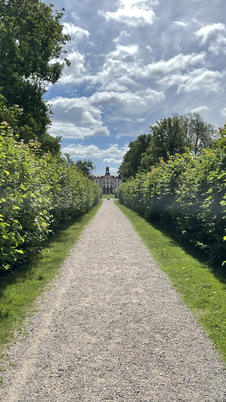 IMG_0887.jpeg
