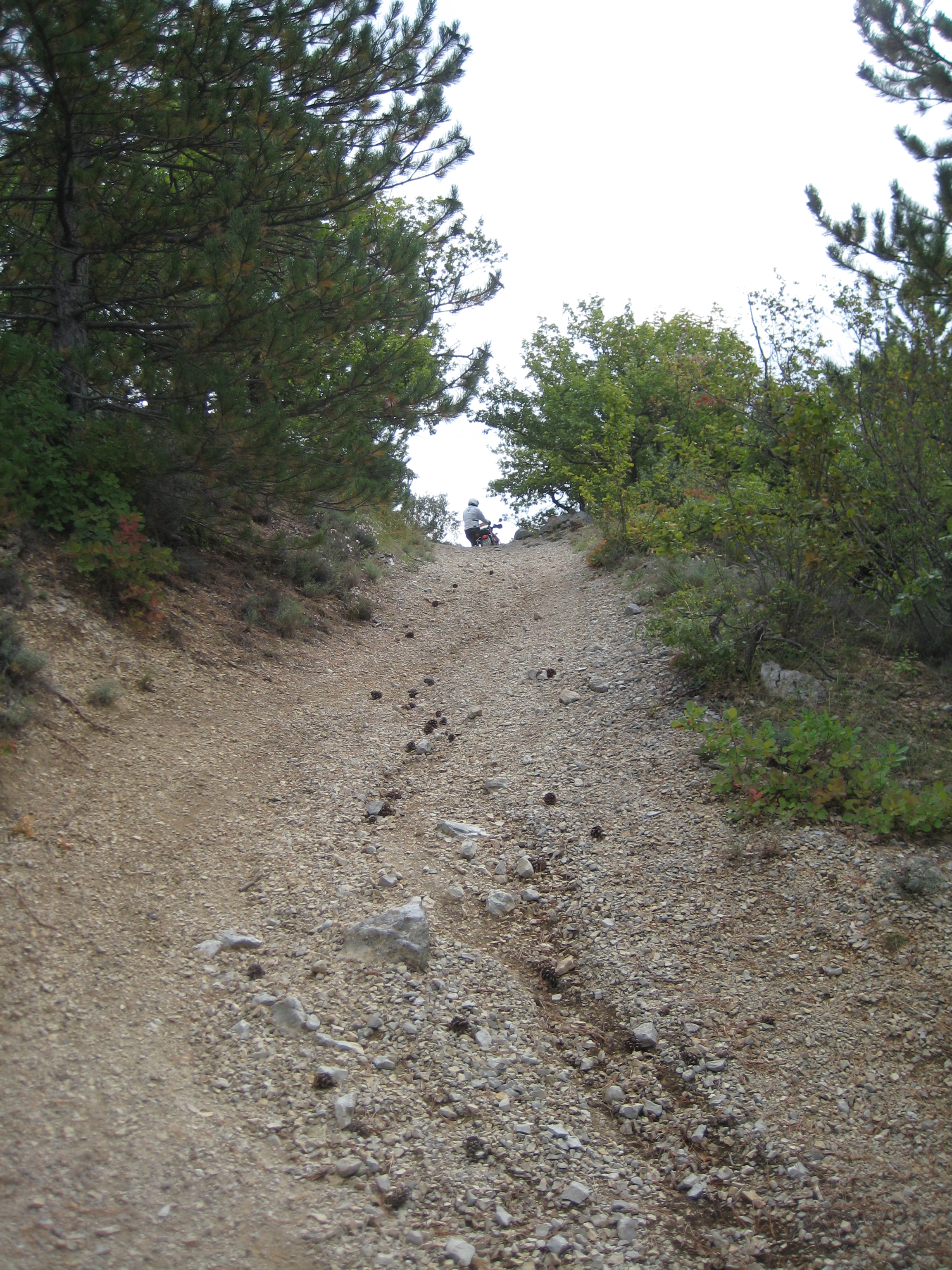 IMG_0981.JPG