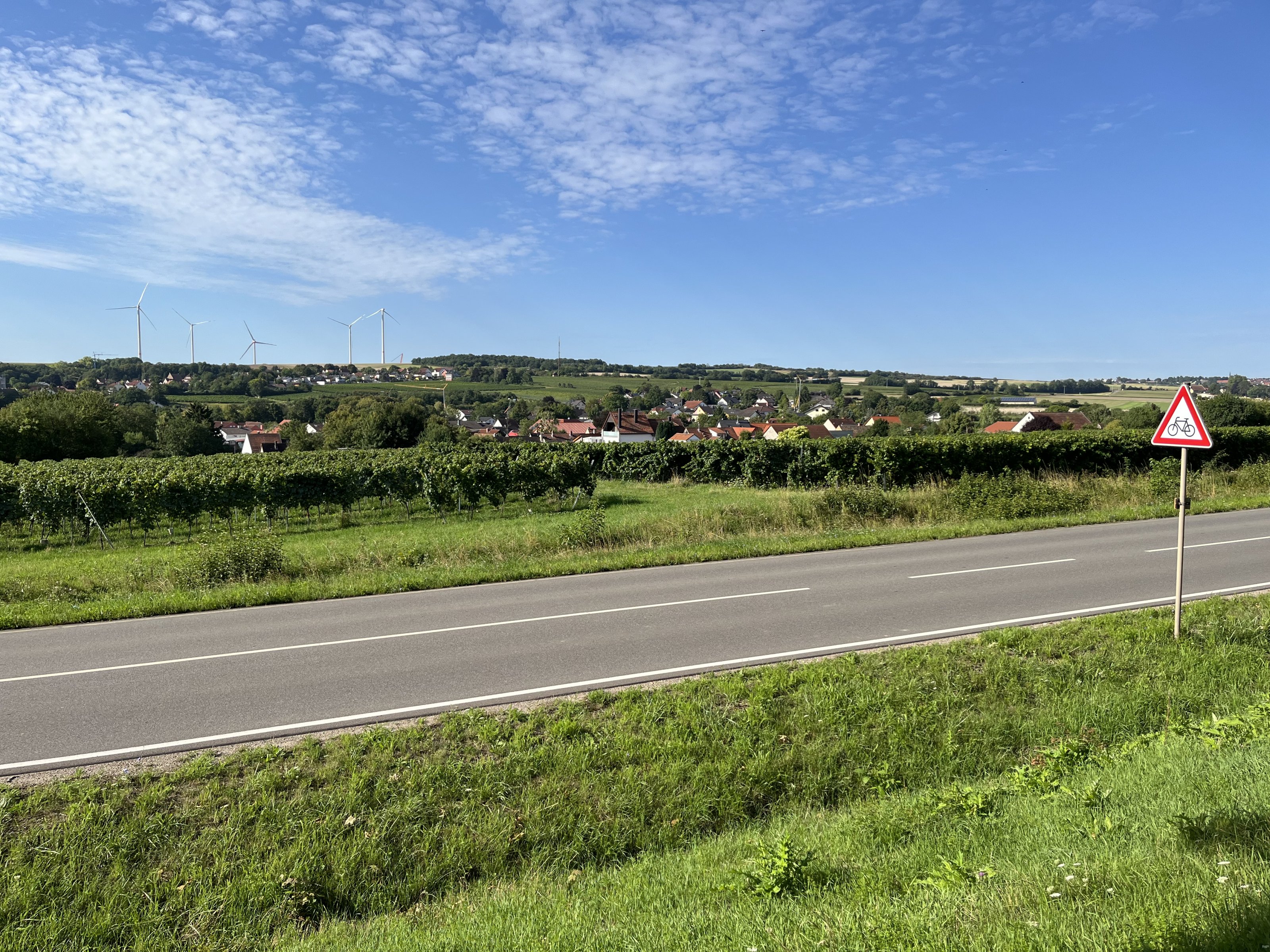IMG_1047.jpeg