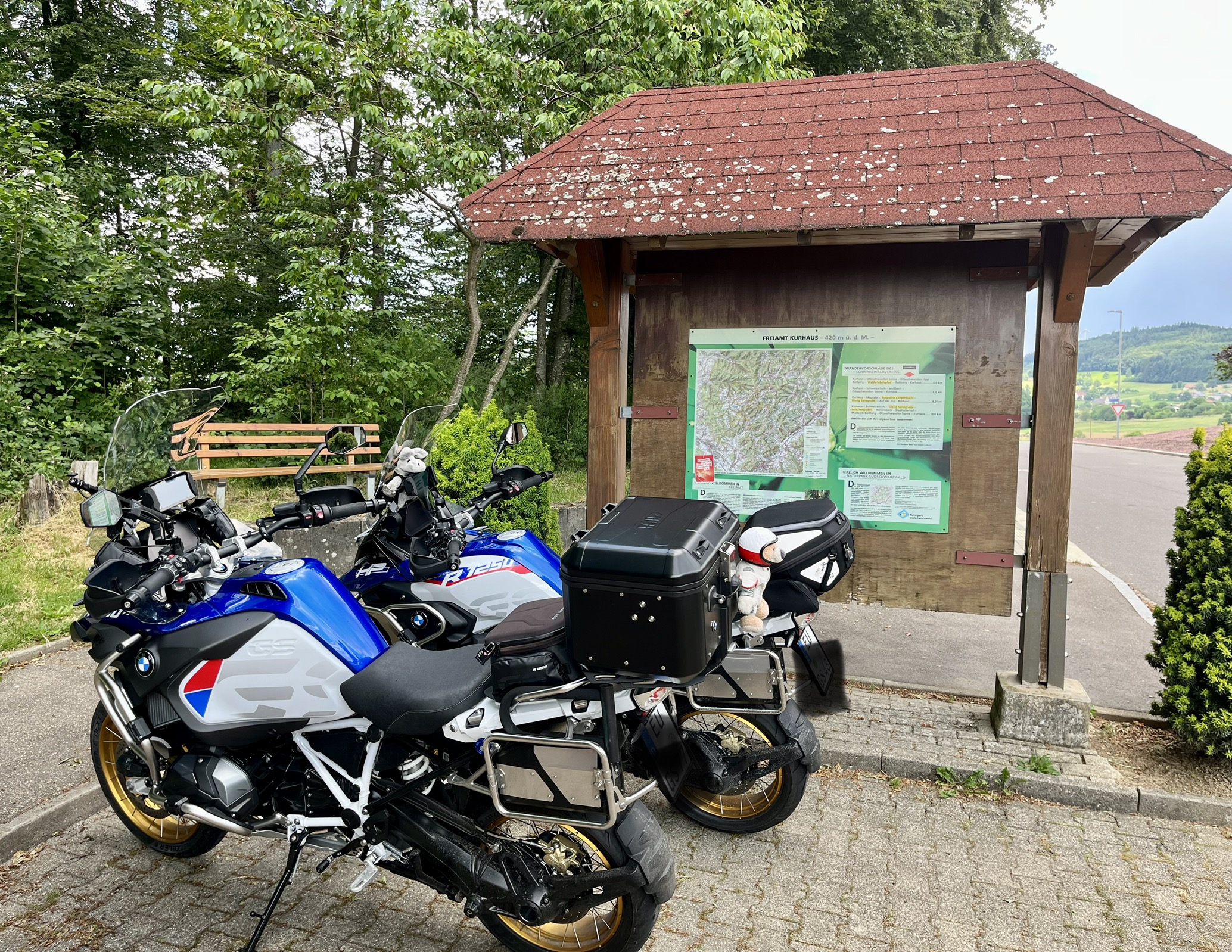 IMG_1072.jpeg