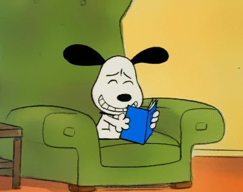IMG_1146.gif