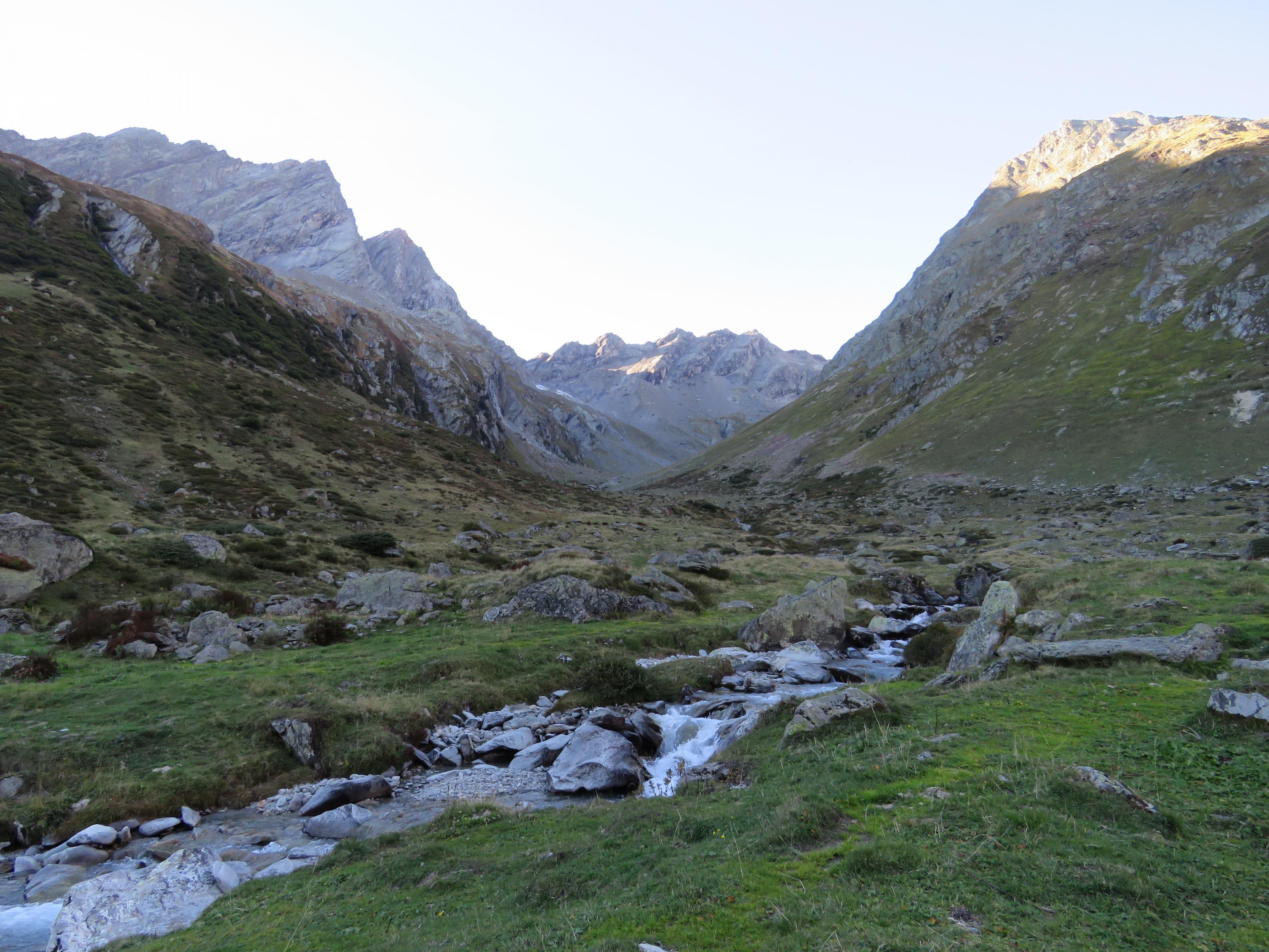 IMG_1320.jpg