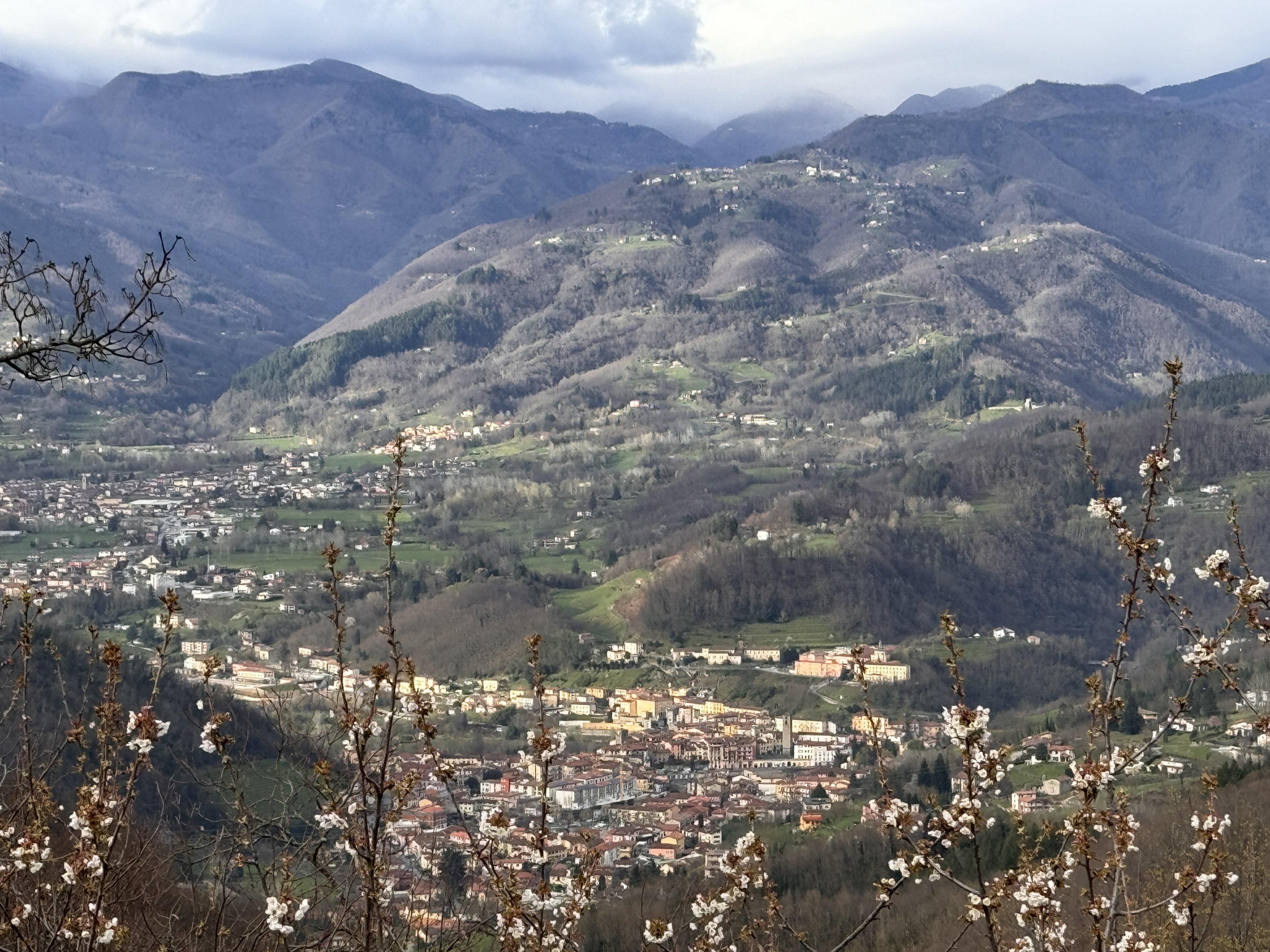 IMG_1342.jpeg