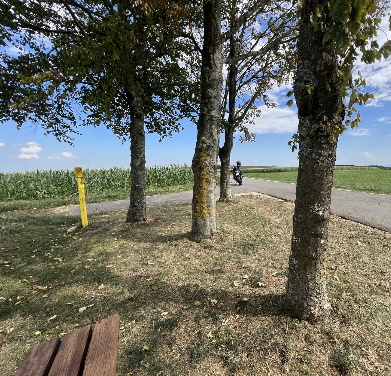 IMG_1448.jpeg