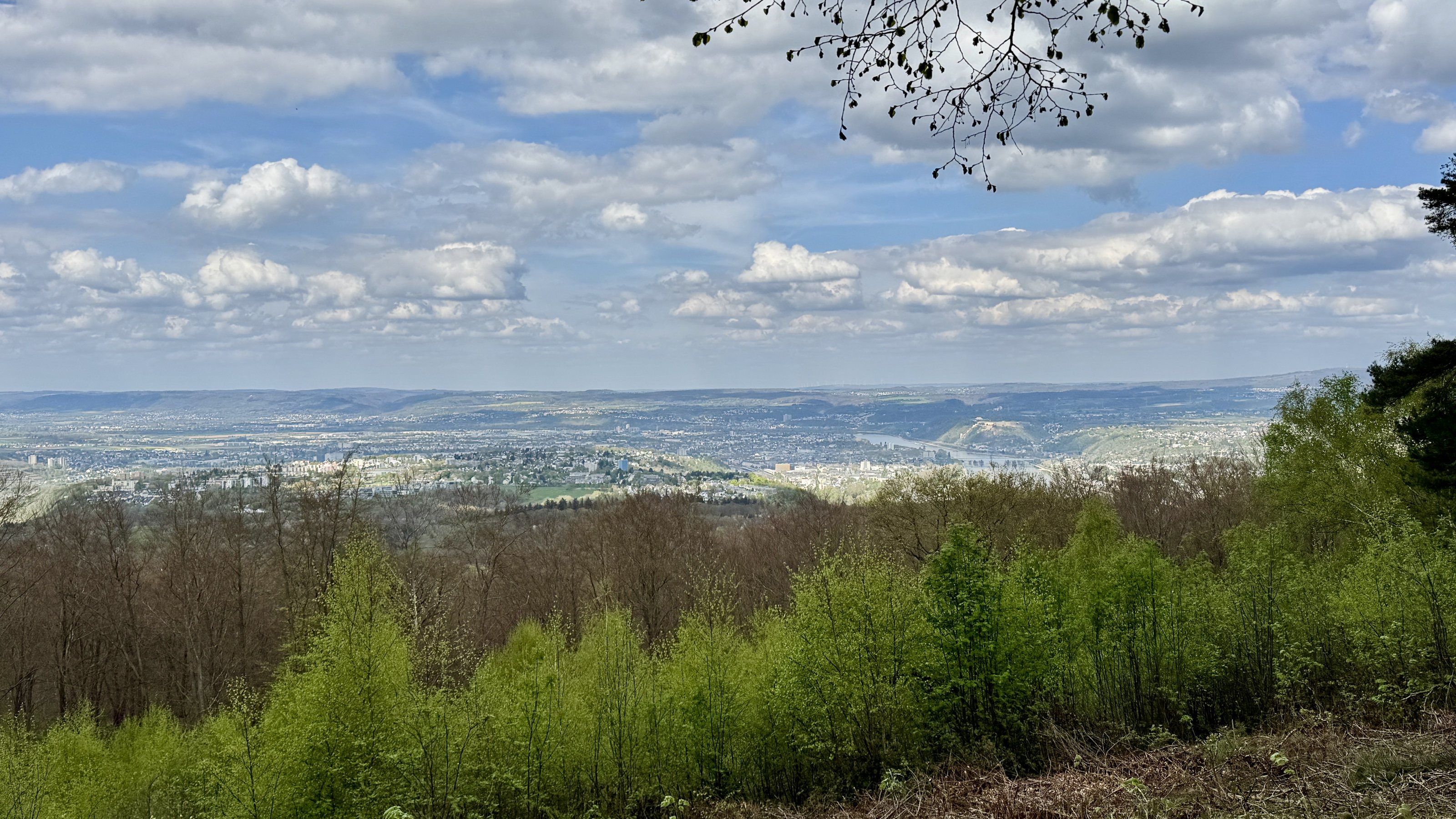 IMG_1500.jpeg