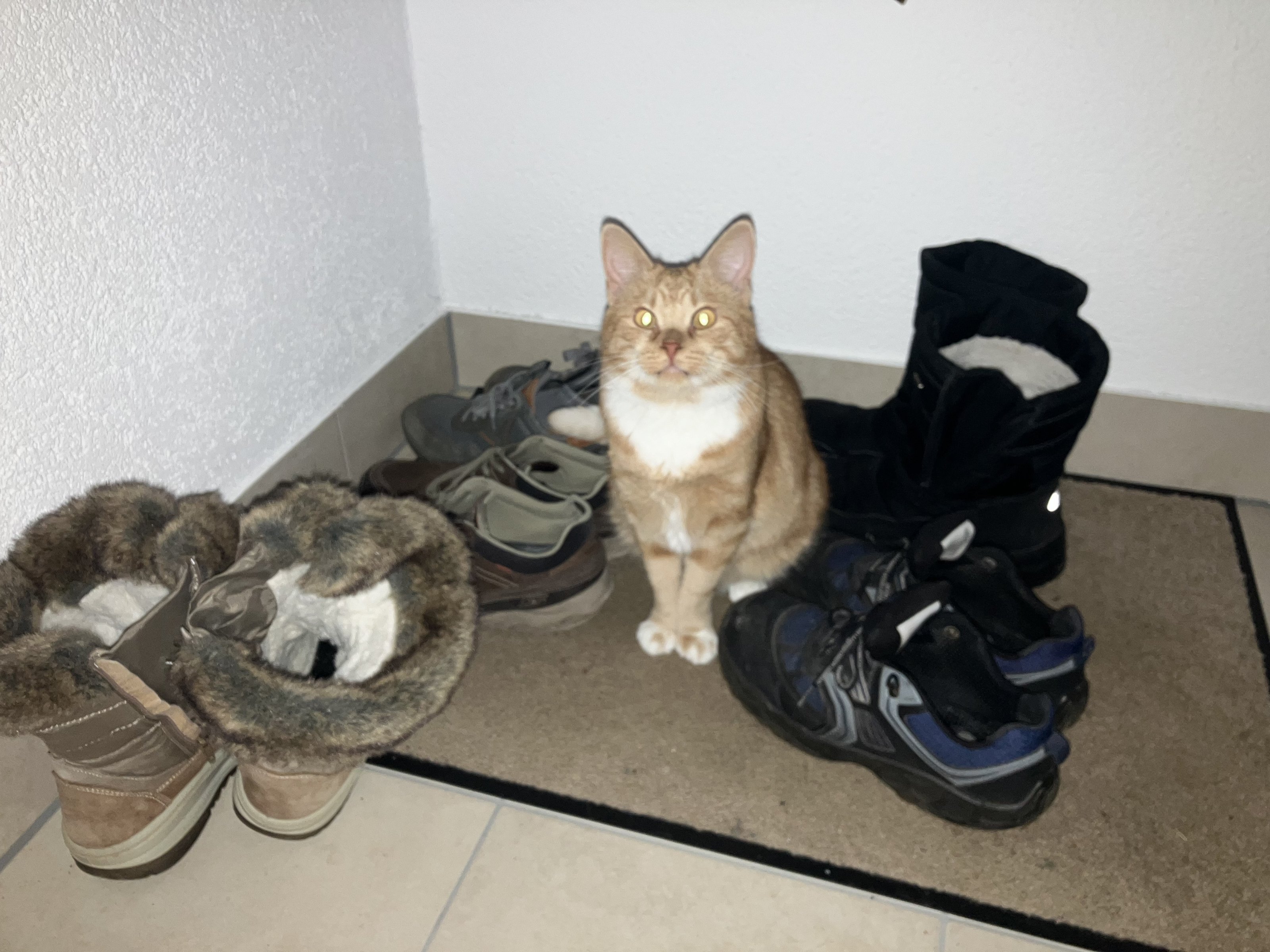 IMG_1563.jpeg