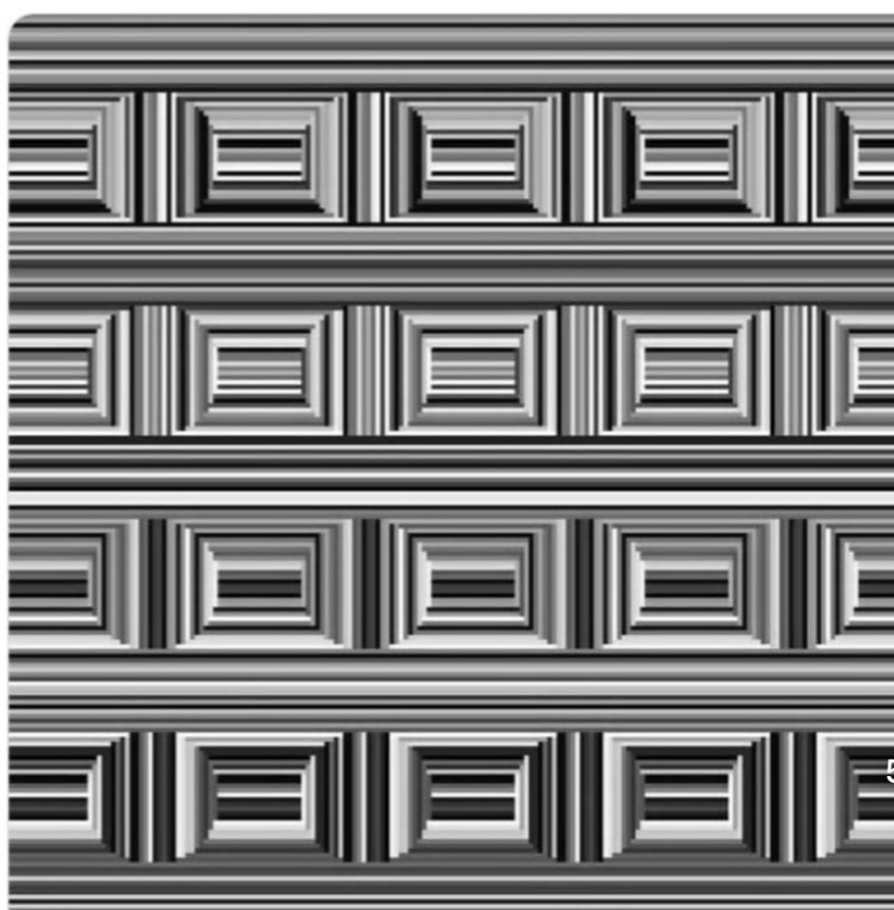 IMG_1874.jpeg