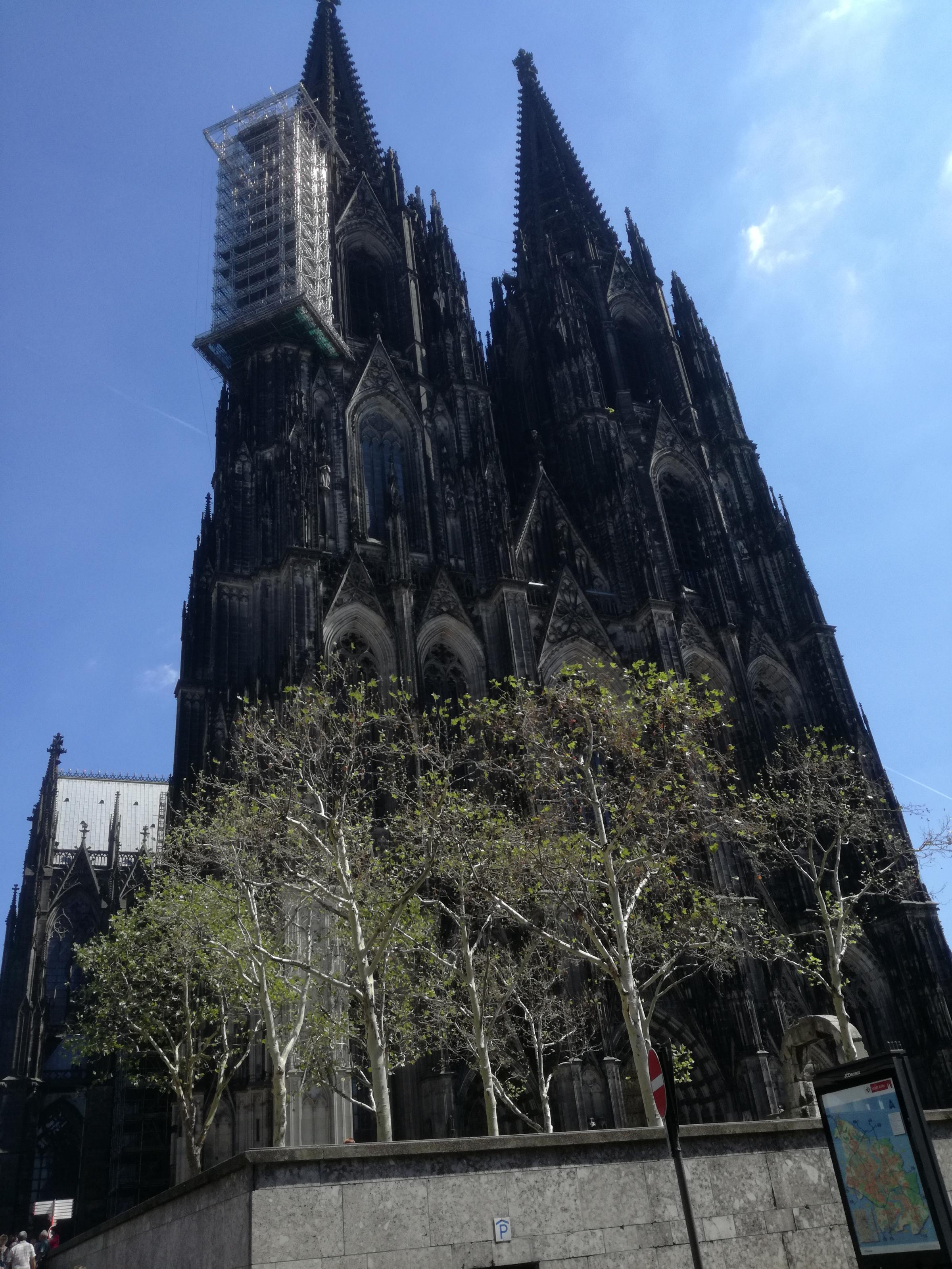 IMG_20180805_141423[1].jpg