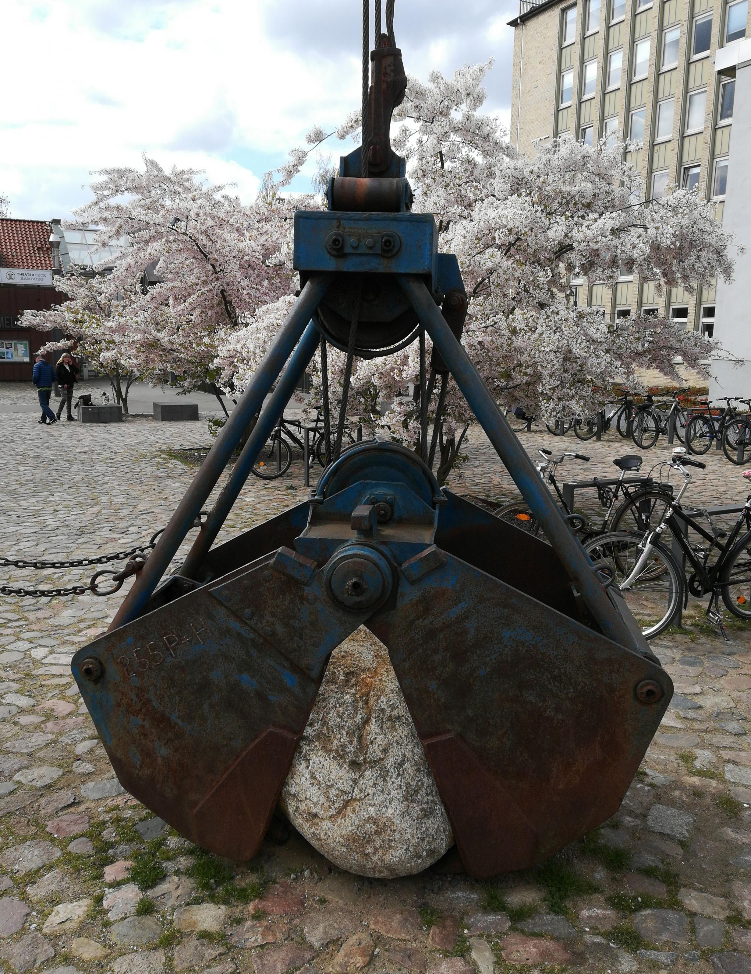 IMG_20190411_113617.jpg