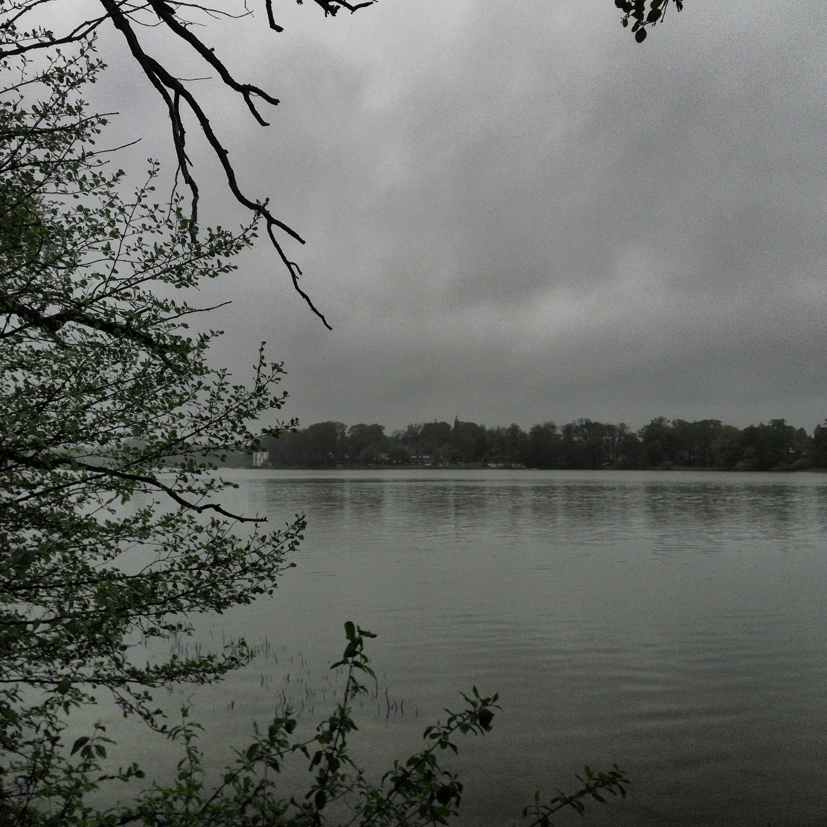IMG_20190428_105406_HDR.jpg