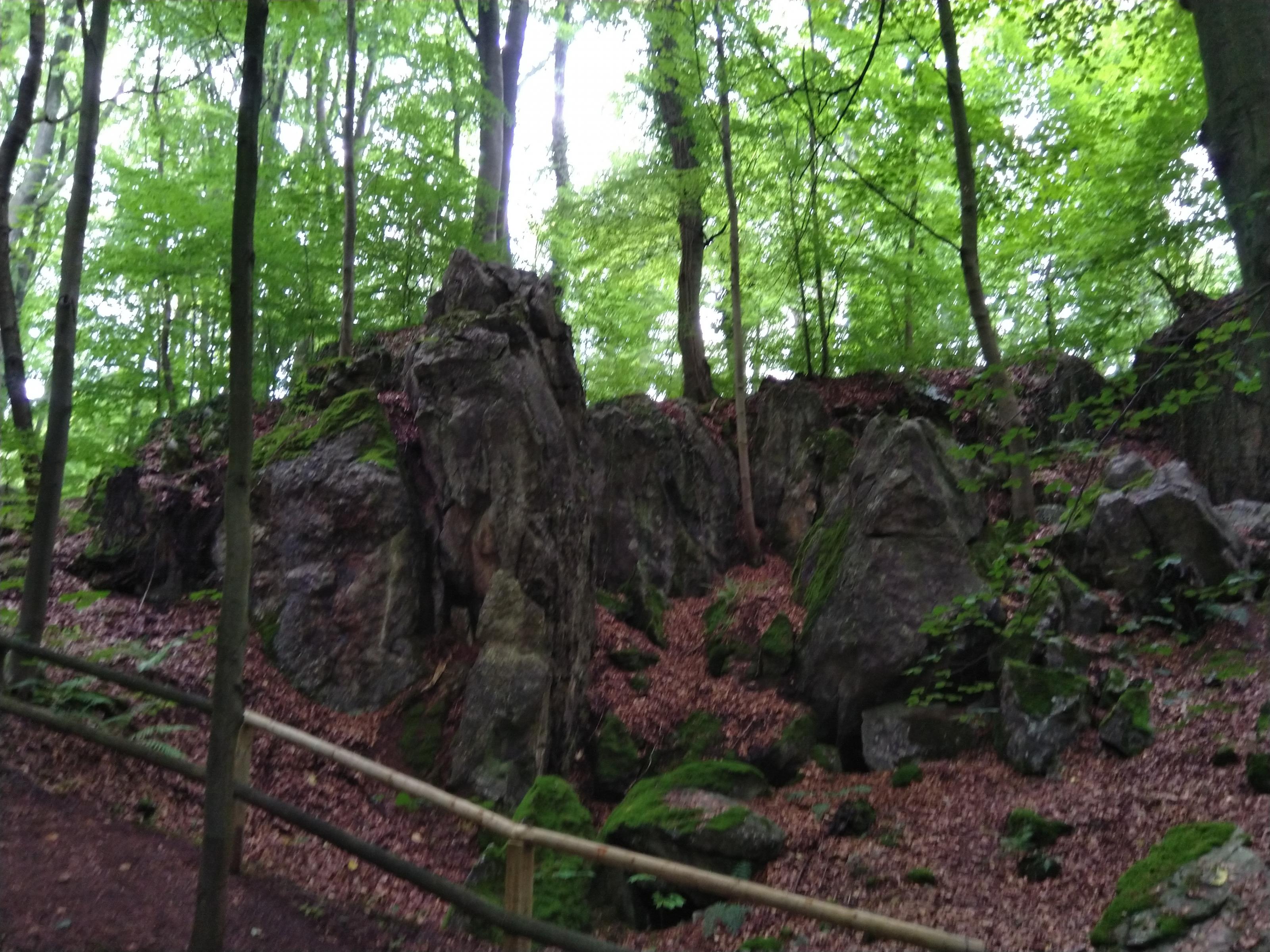 IMG_20190819_160041.jpg
