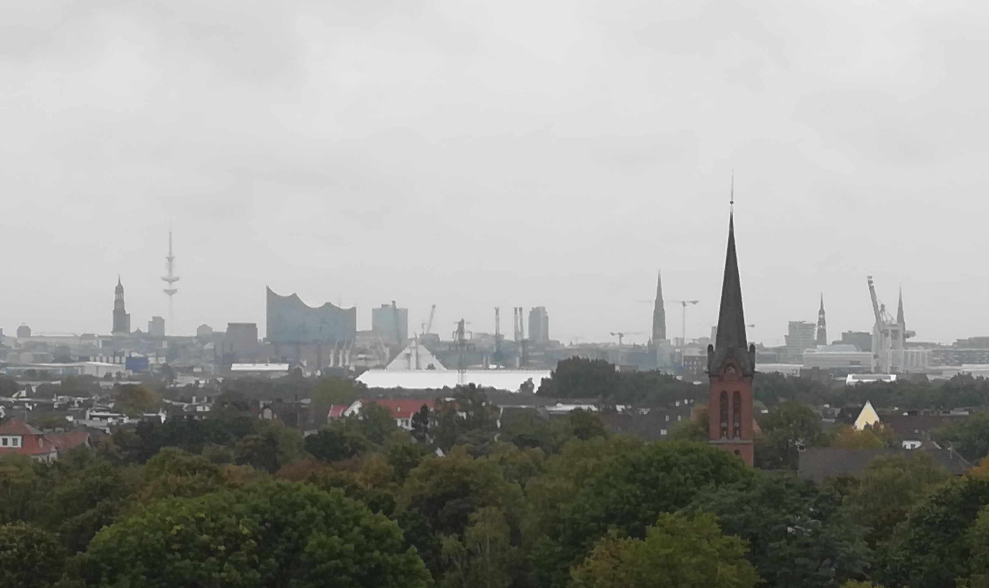 IMG_20191004_150621.jpg