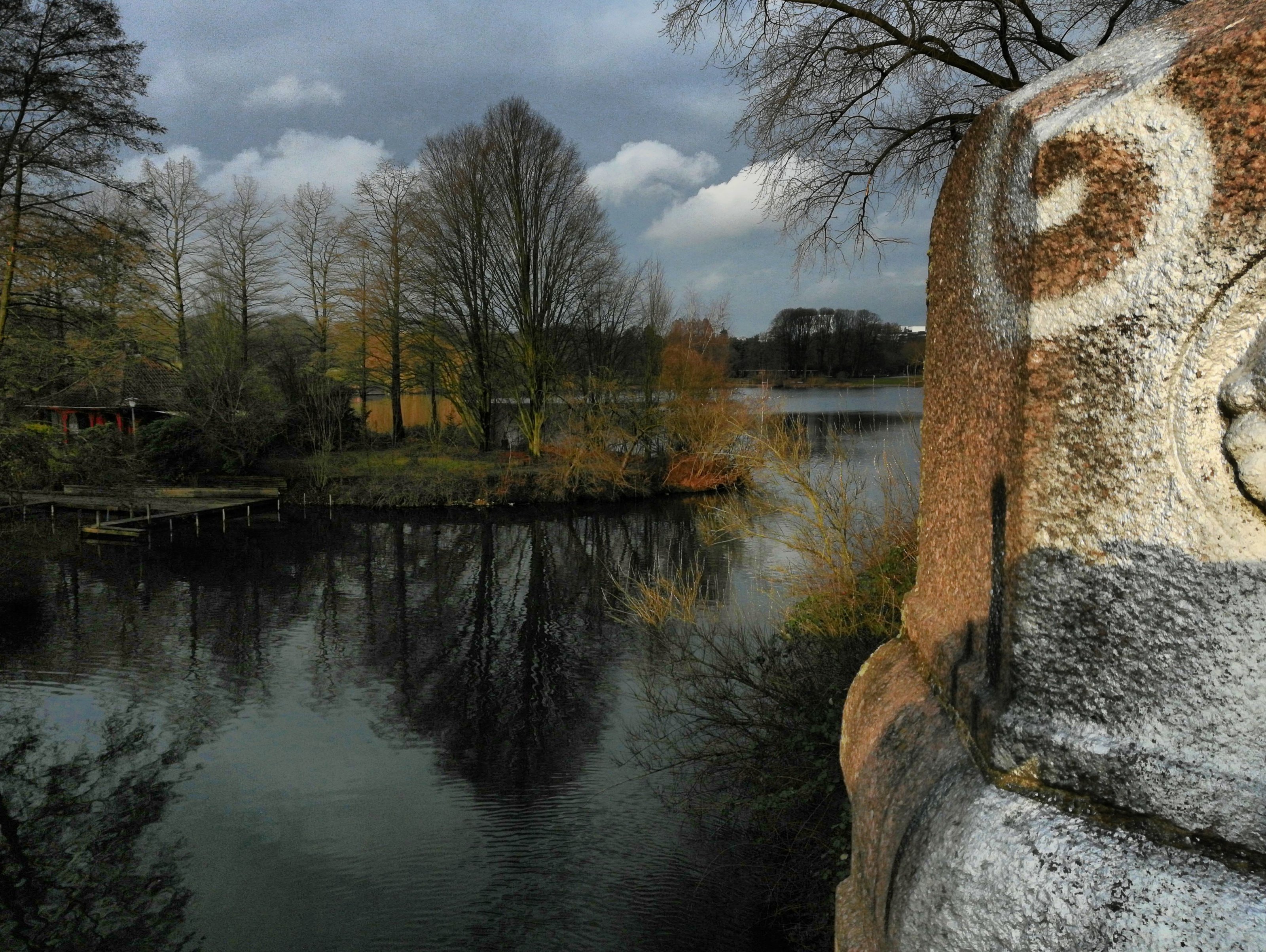 IMG_20200113_140316_HDR.jpg