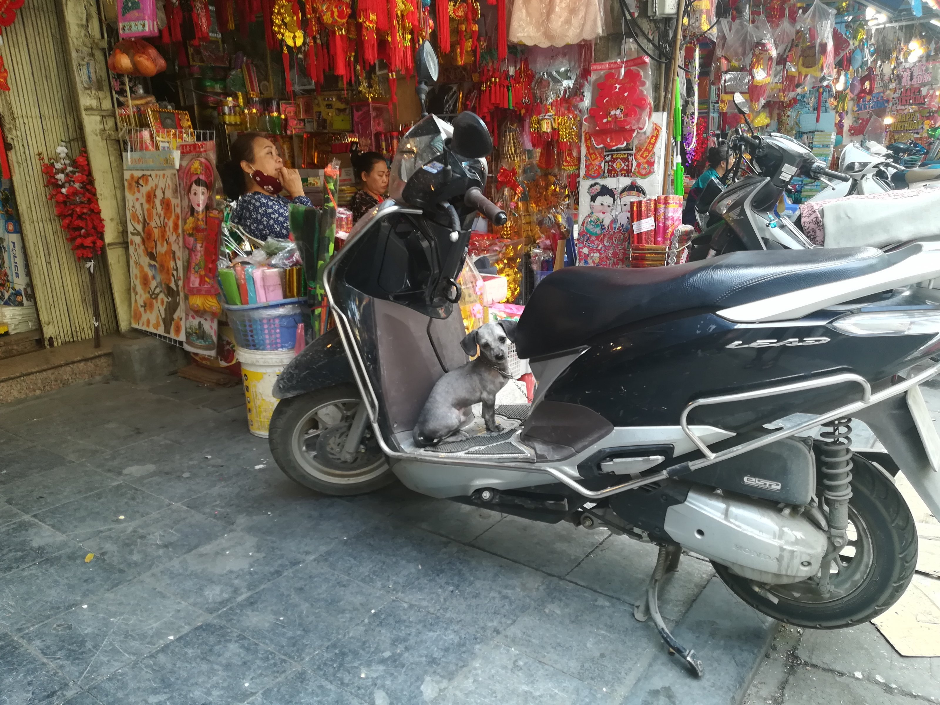 IMG_20200224_125235.jpg