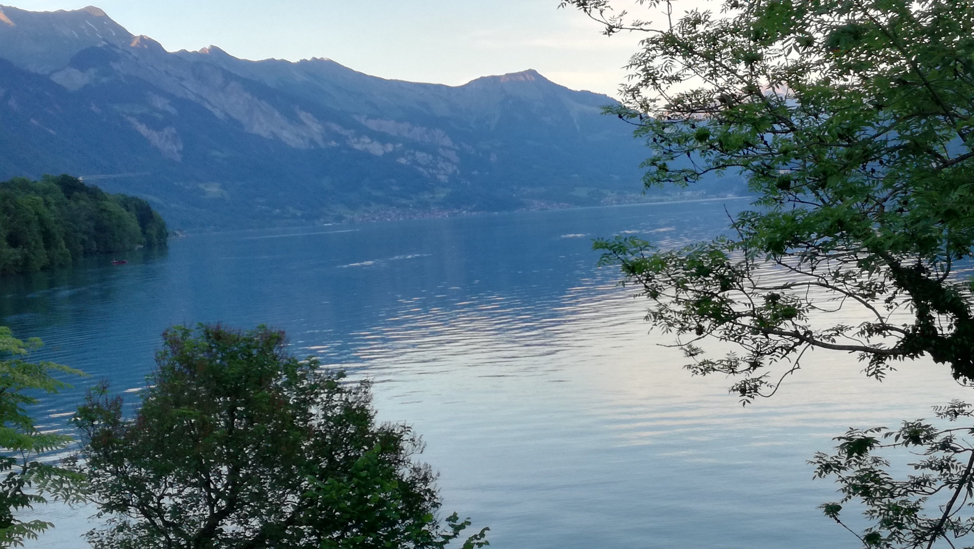 IMG_20200521_203335[1].jpg