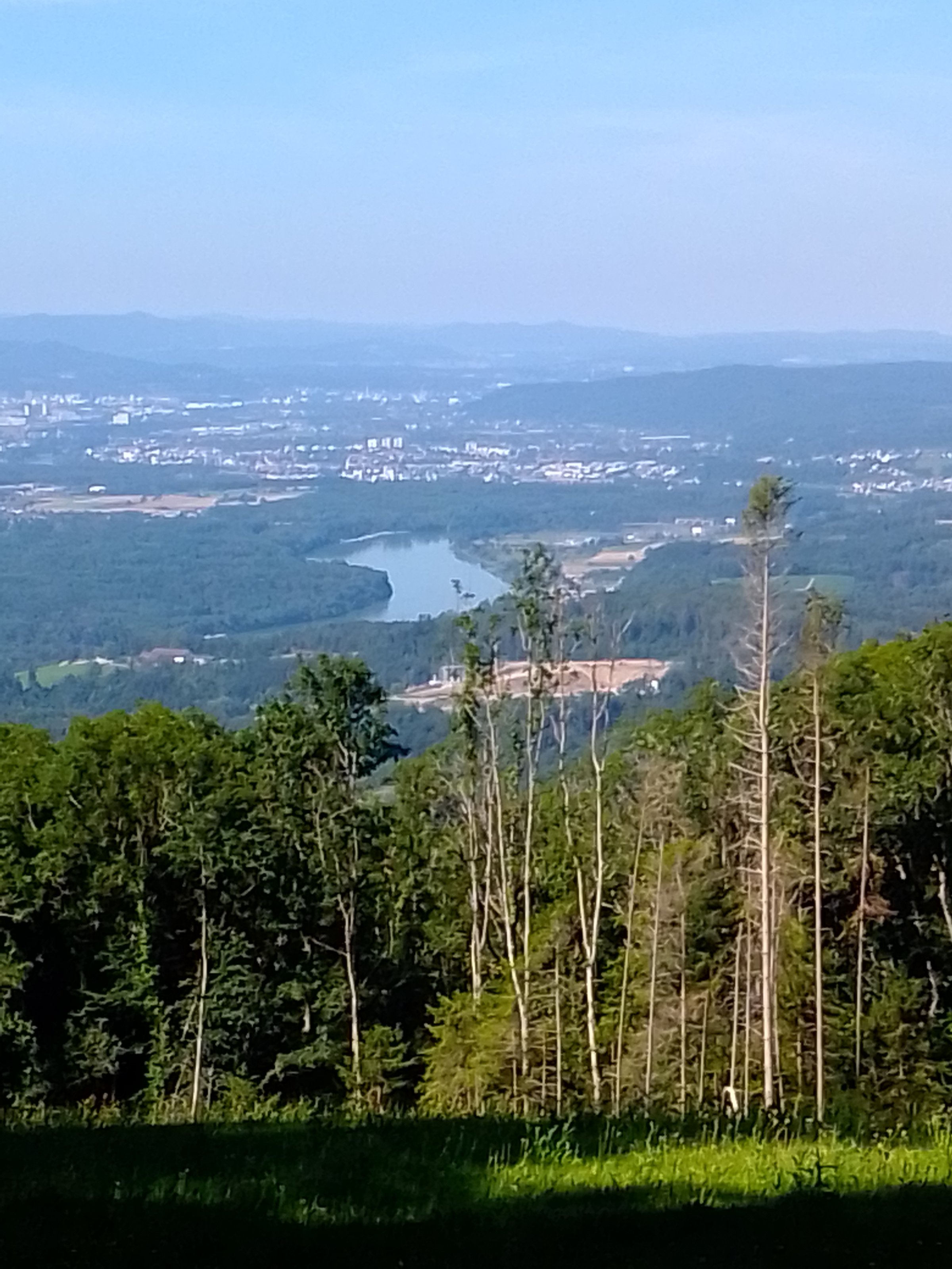 IMG_20200719_104419.jpg