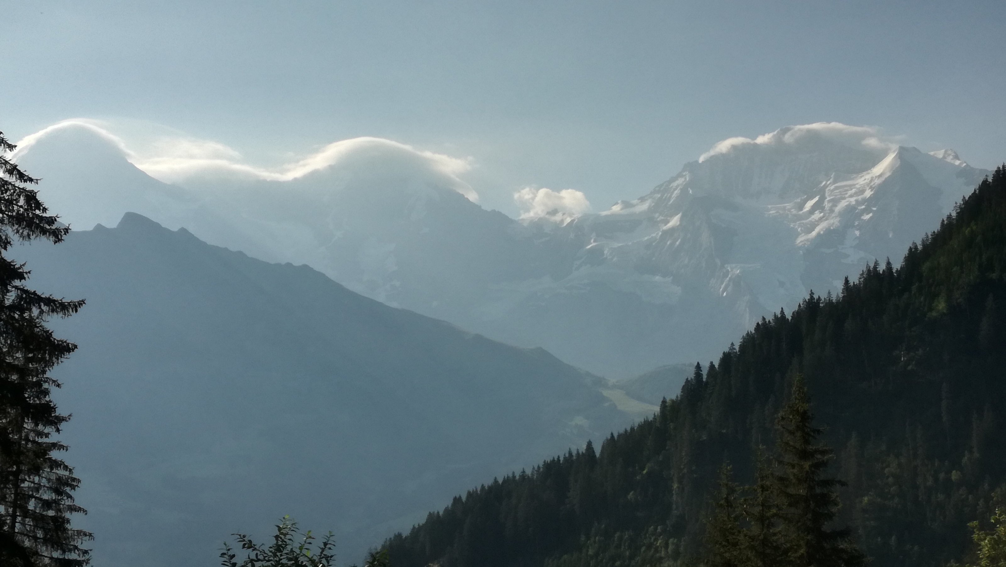 IMG_20200731_085151[1].jpg