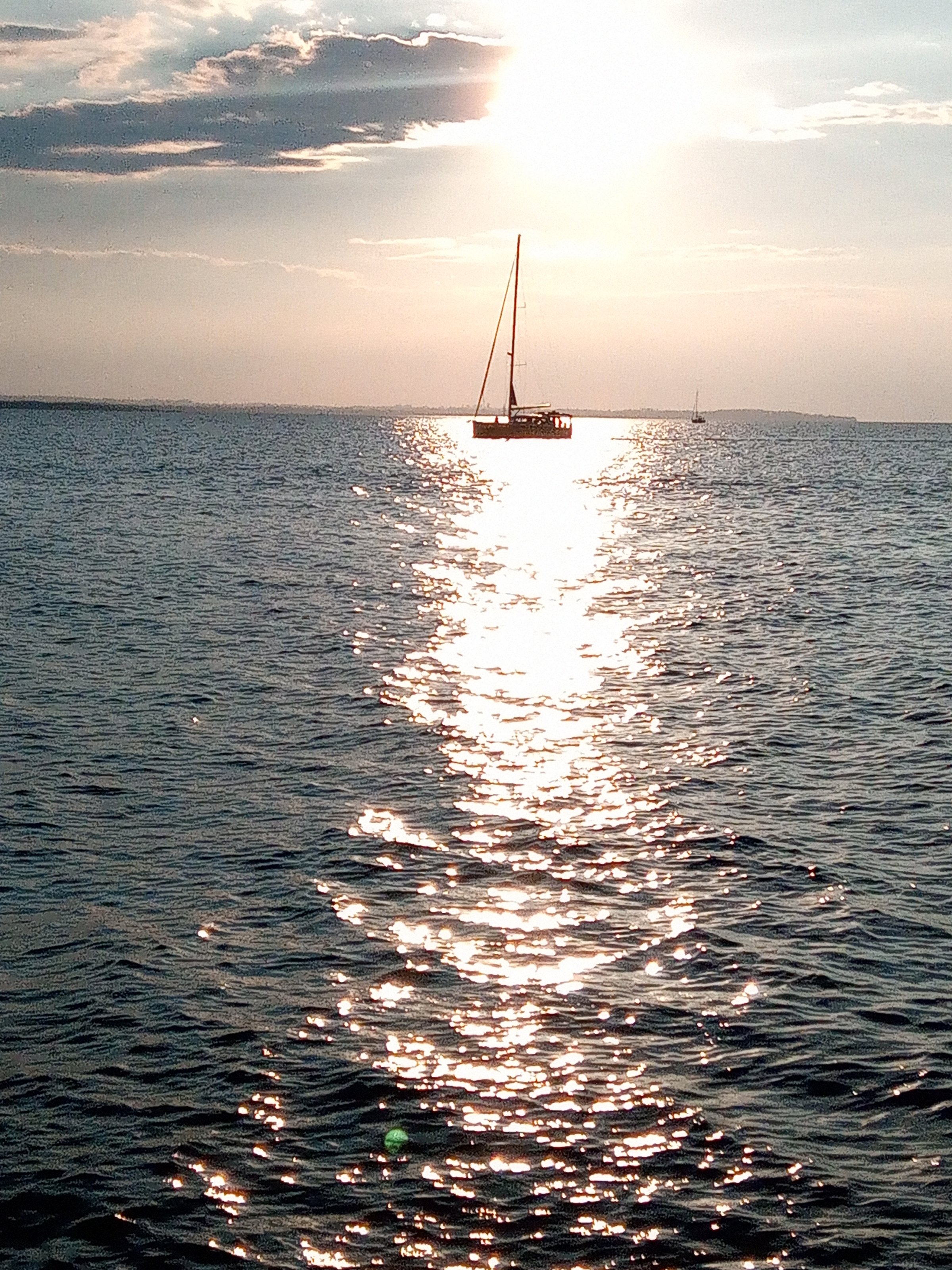 IMG_20200830_191136.jpg