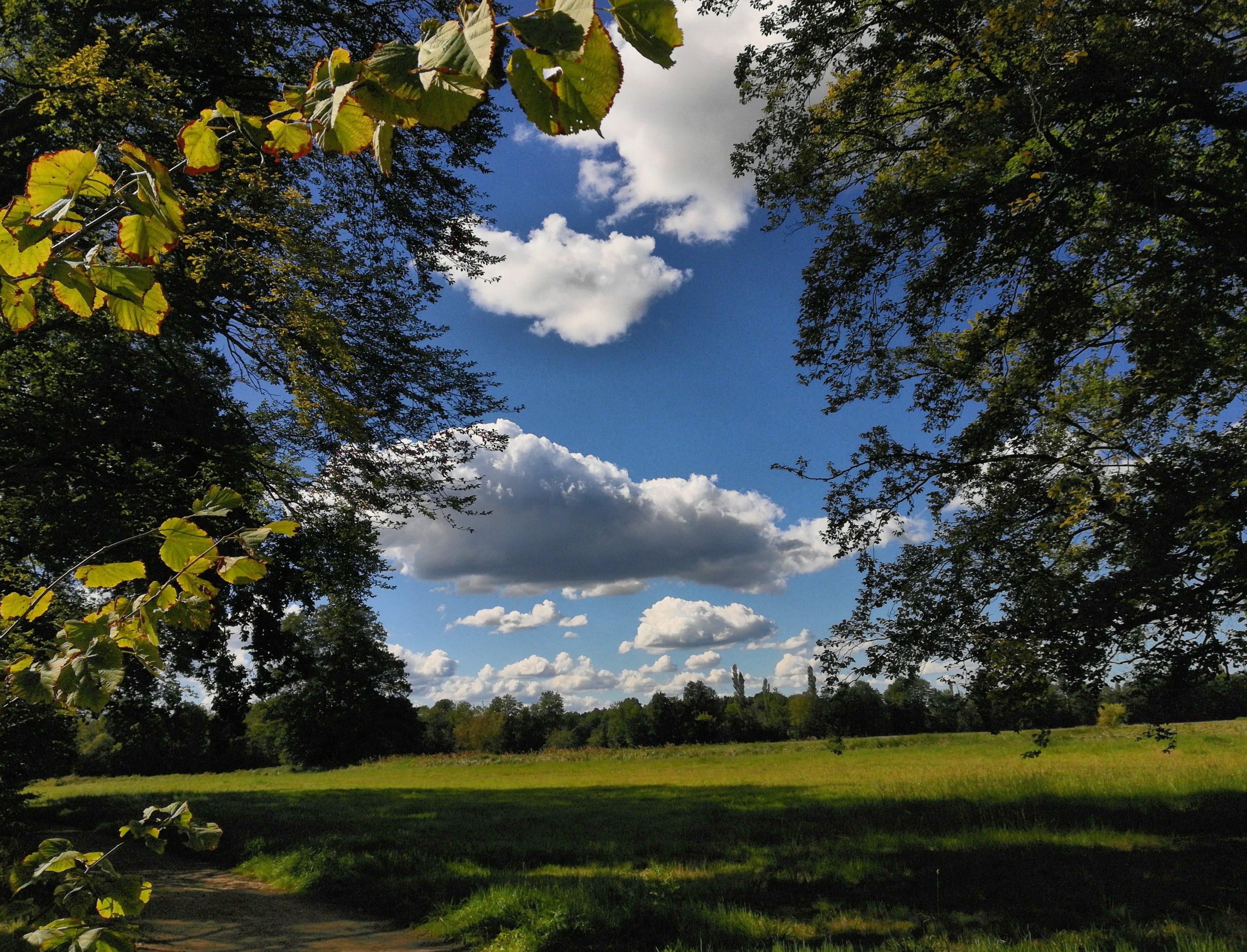 IMG_20200901_144515_HDR.jpg