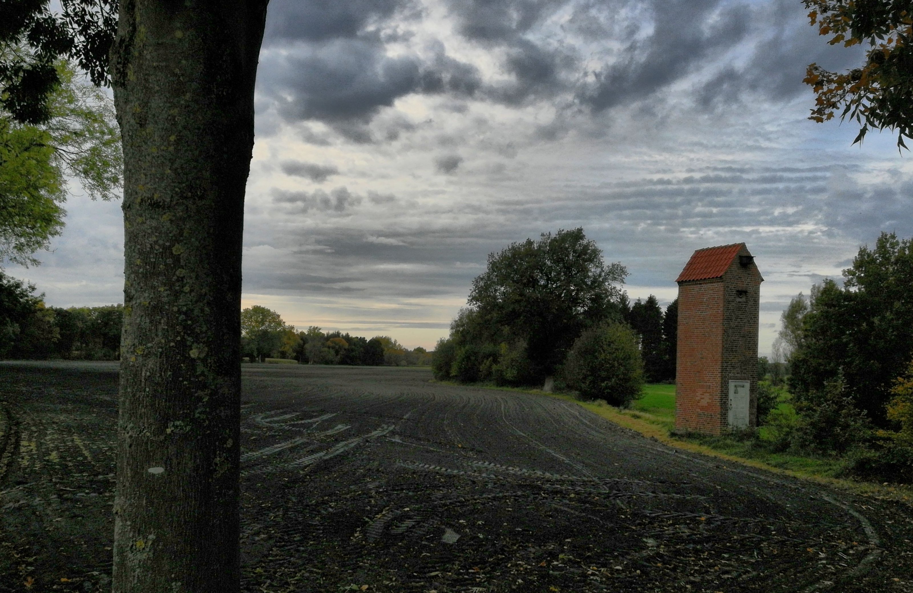 IMG_20201022_62839_HDR.jpg