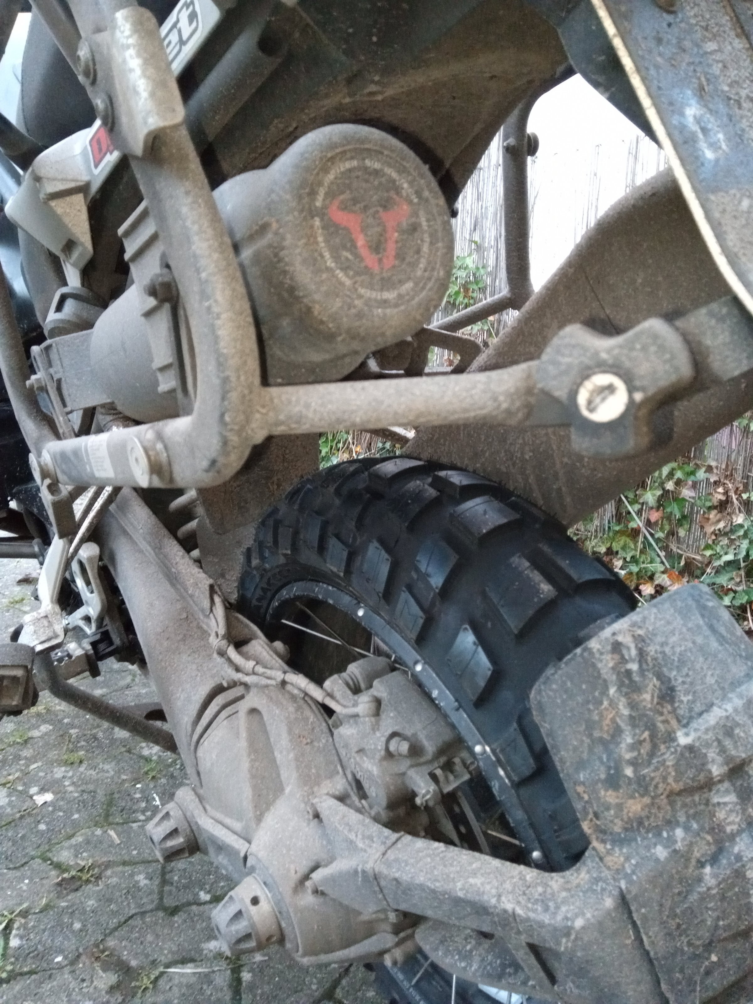 IMG_20201104_162559.jpg