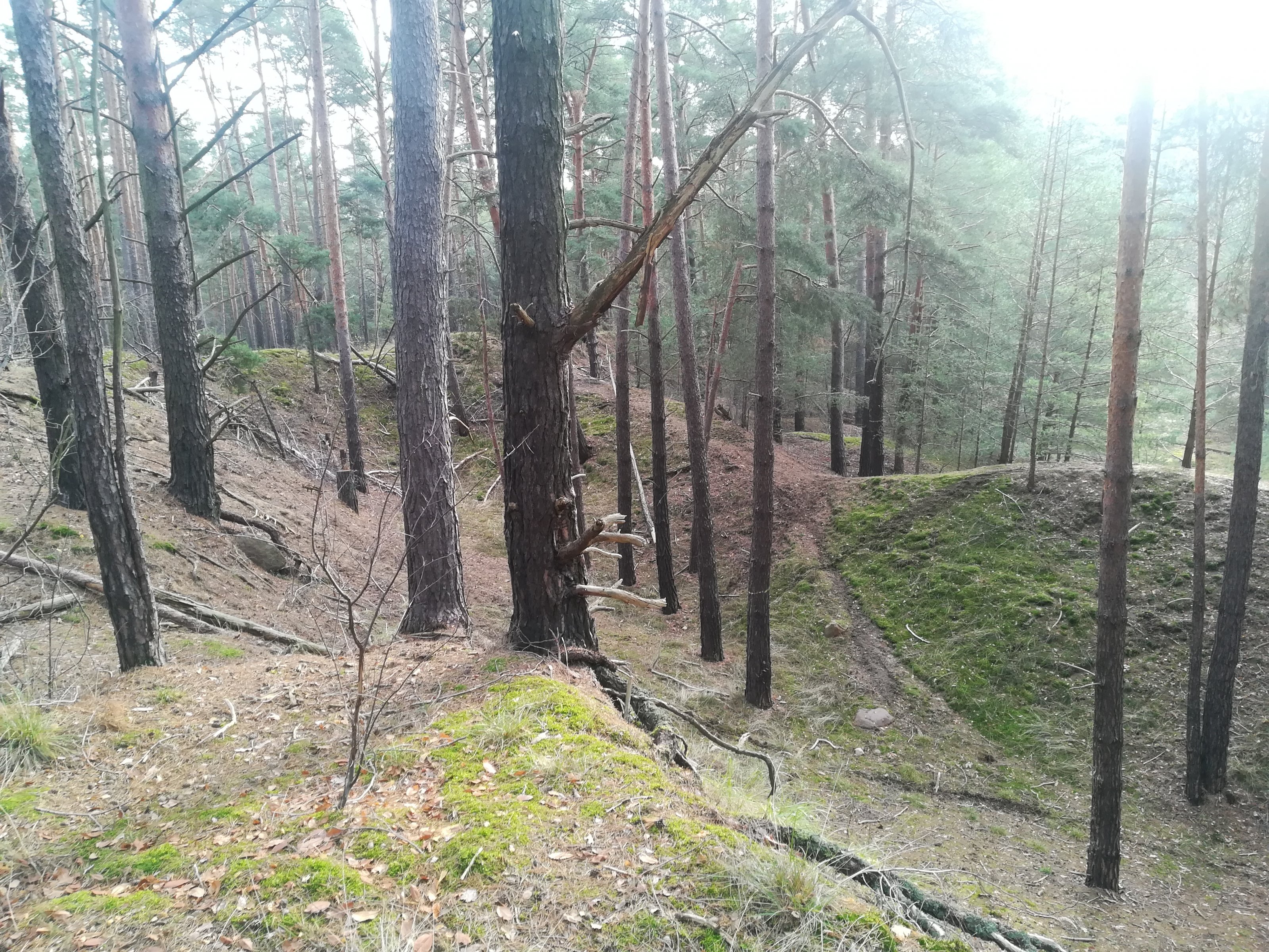 IMG_20201206_121239.jpg