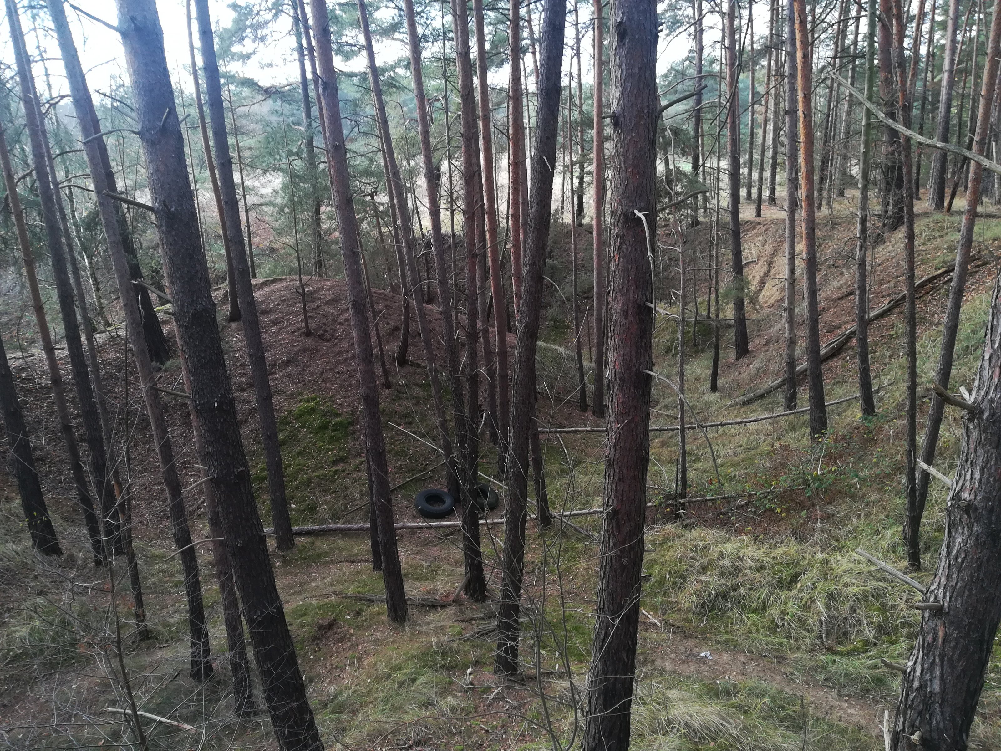 IMG_20201206_121249.jpg