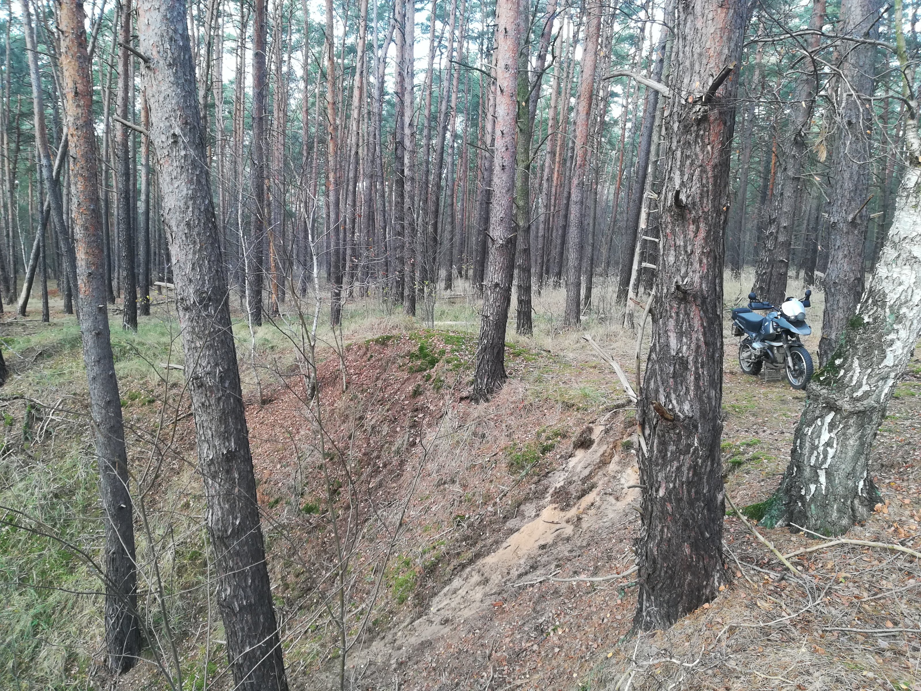 IMG_20201206_121259.jpg
