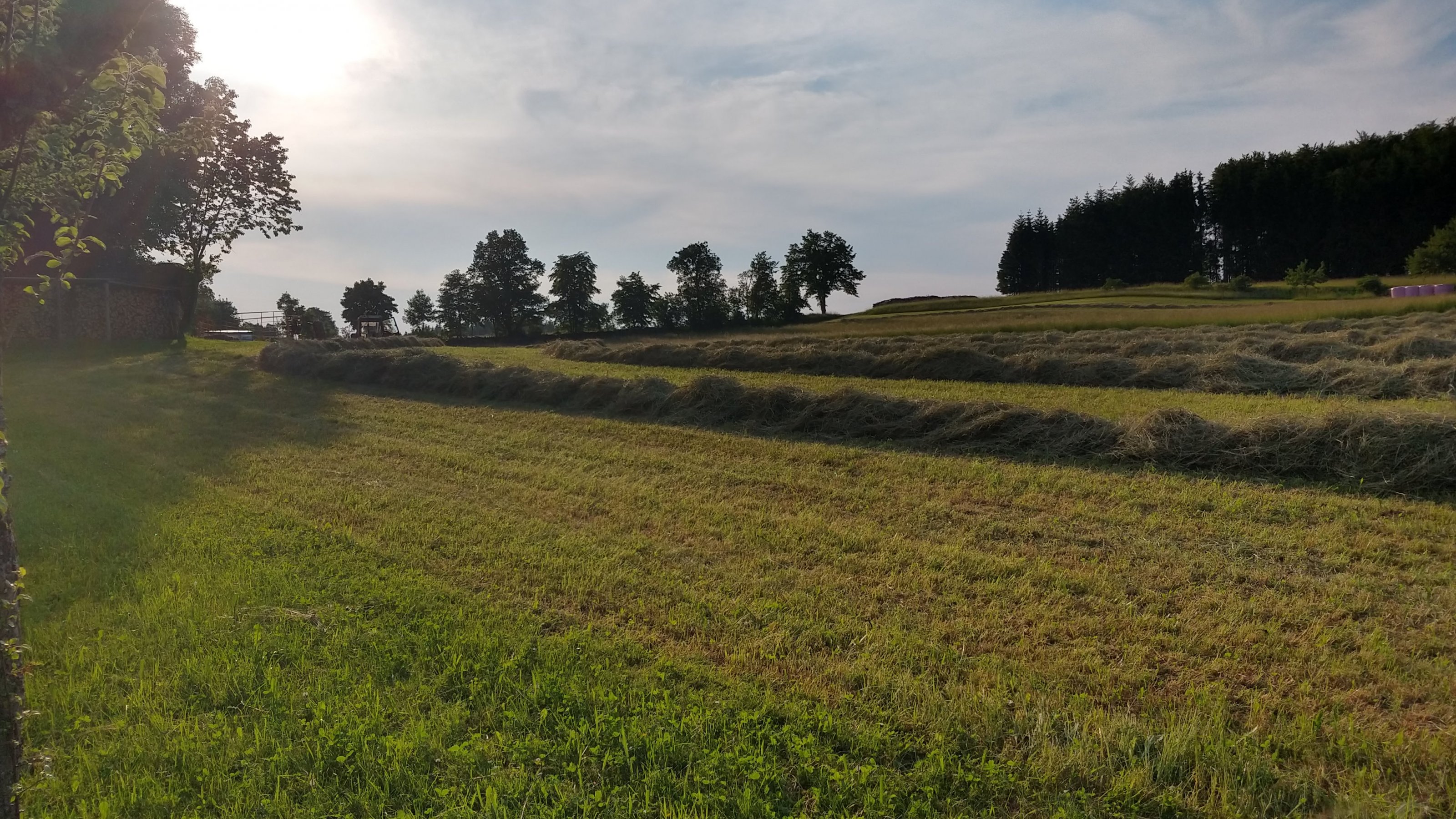 IMG_20210617_192154035_HDR.jpg