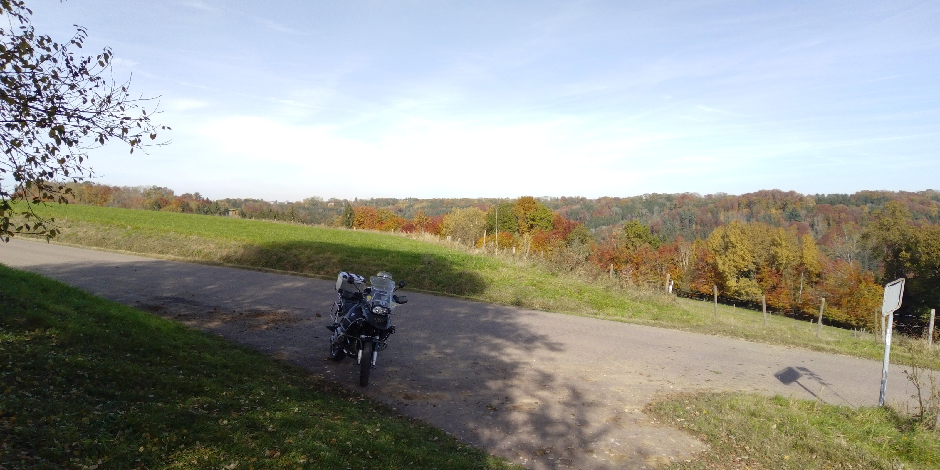 IMG_20211029_125714.jpg